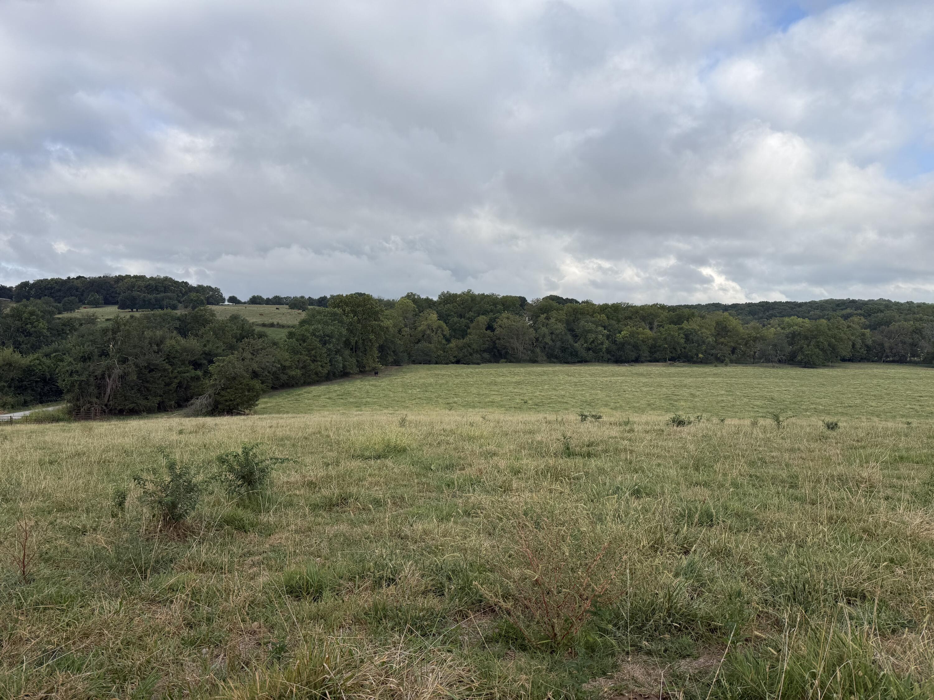 Photo 2 - Land for sale – Tract 3 S Farm Road 55   Republic, MO