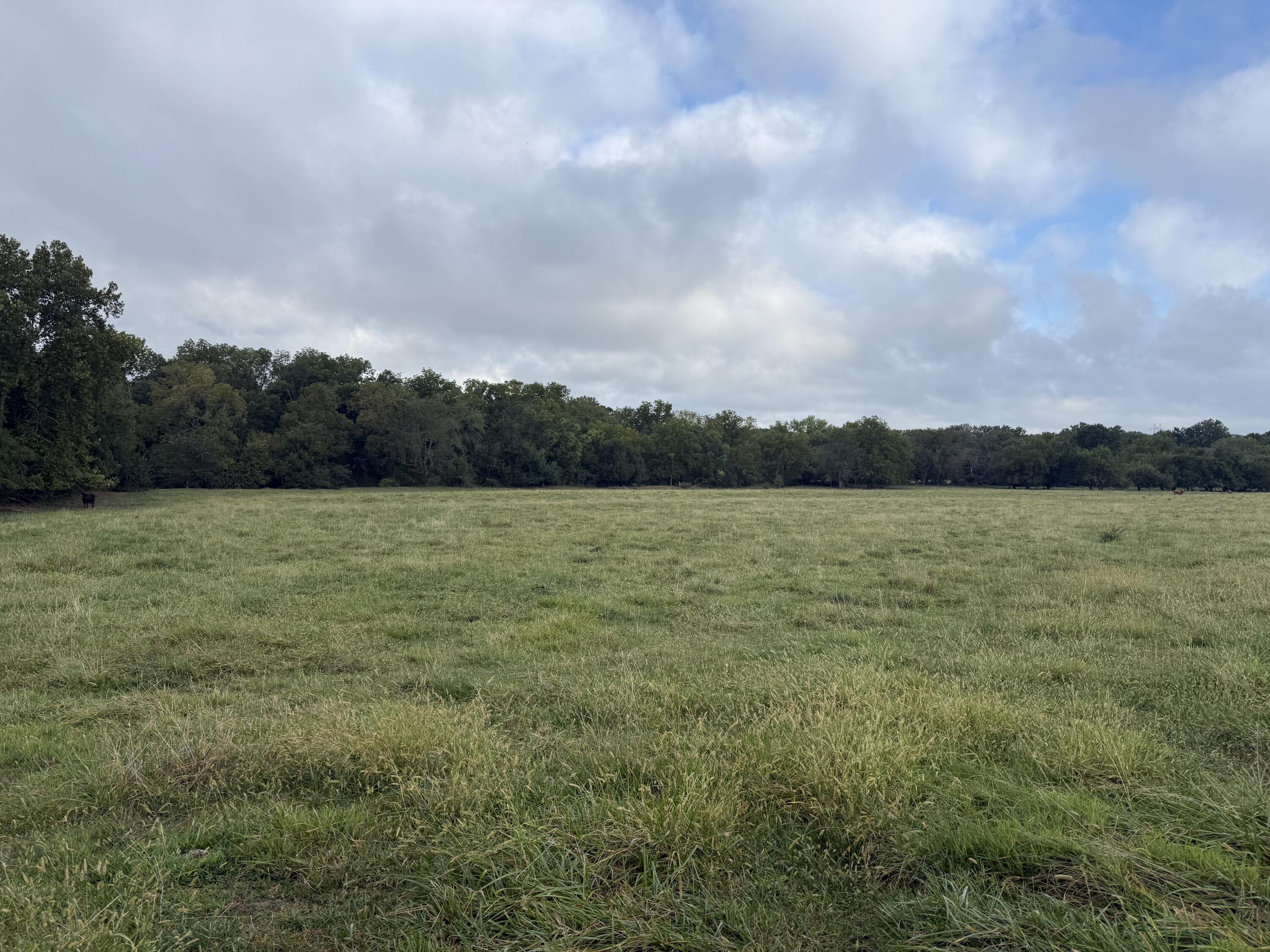 Land for sale – Tract 3 S Farm Road 55   Republic, MO