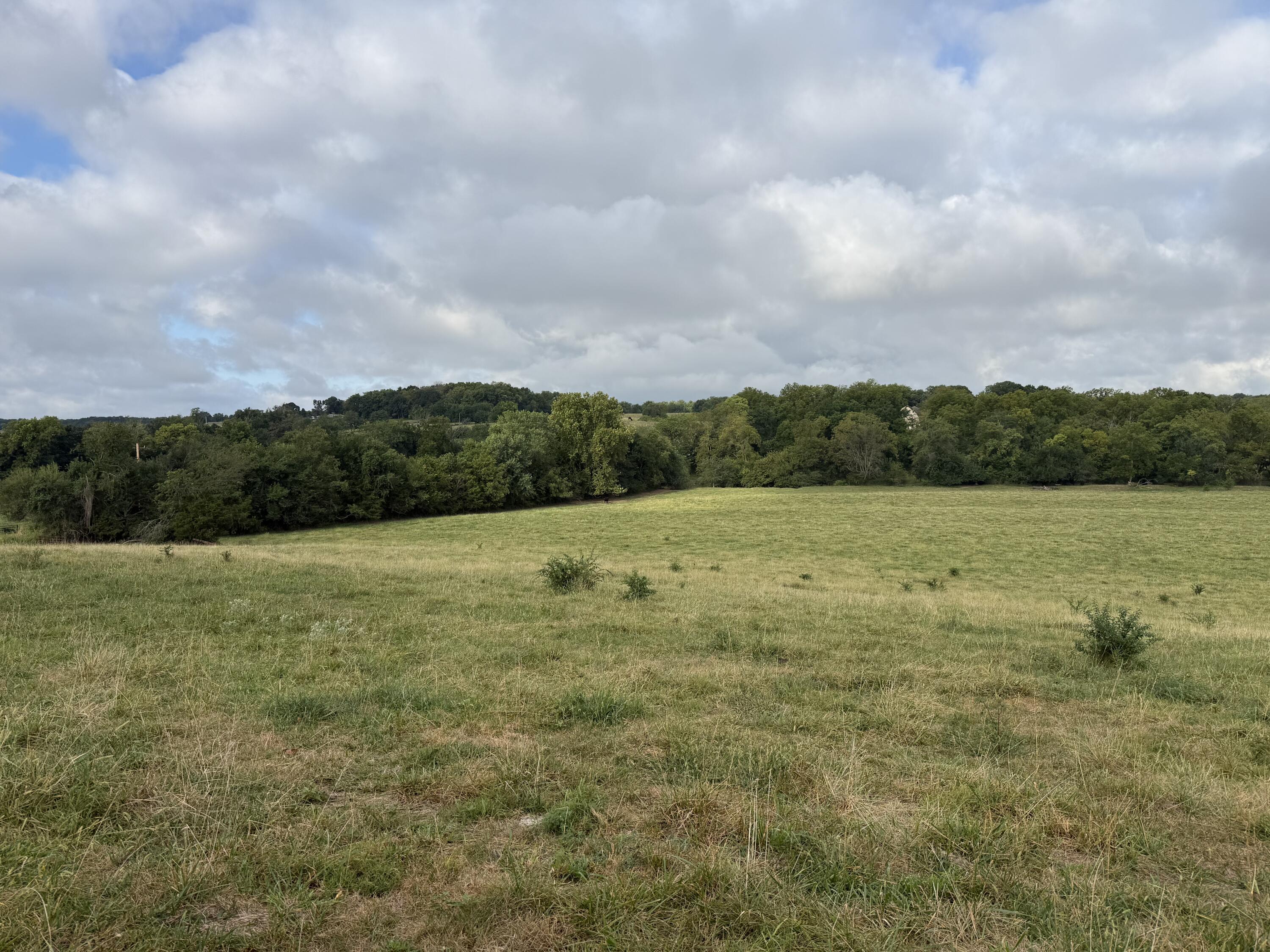 Photo 4 - Land for sale – Tract 3 S Farm Road 55   Republic, MO