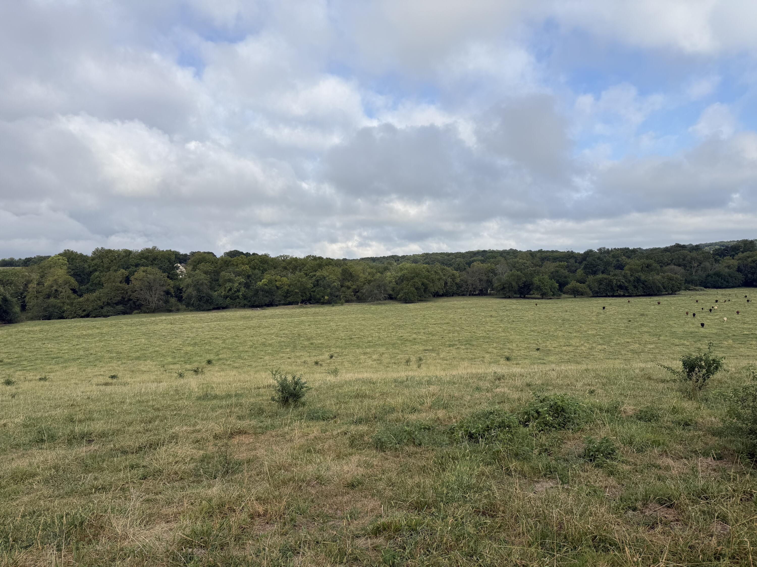Land for sale – Tract 5 S Farm Road 55 Republic, MO