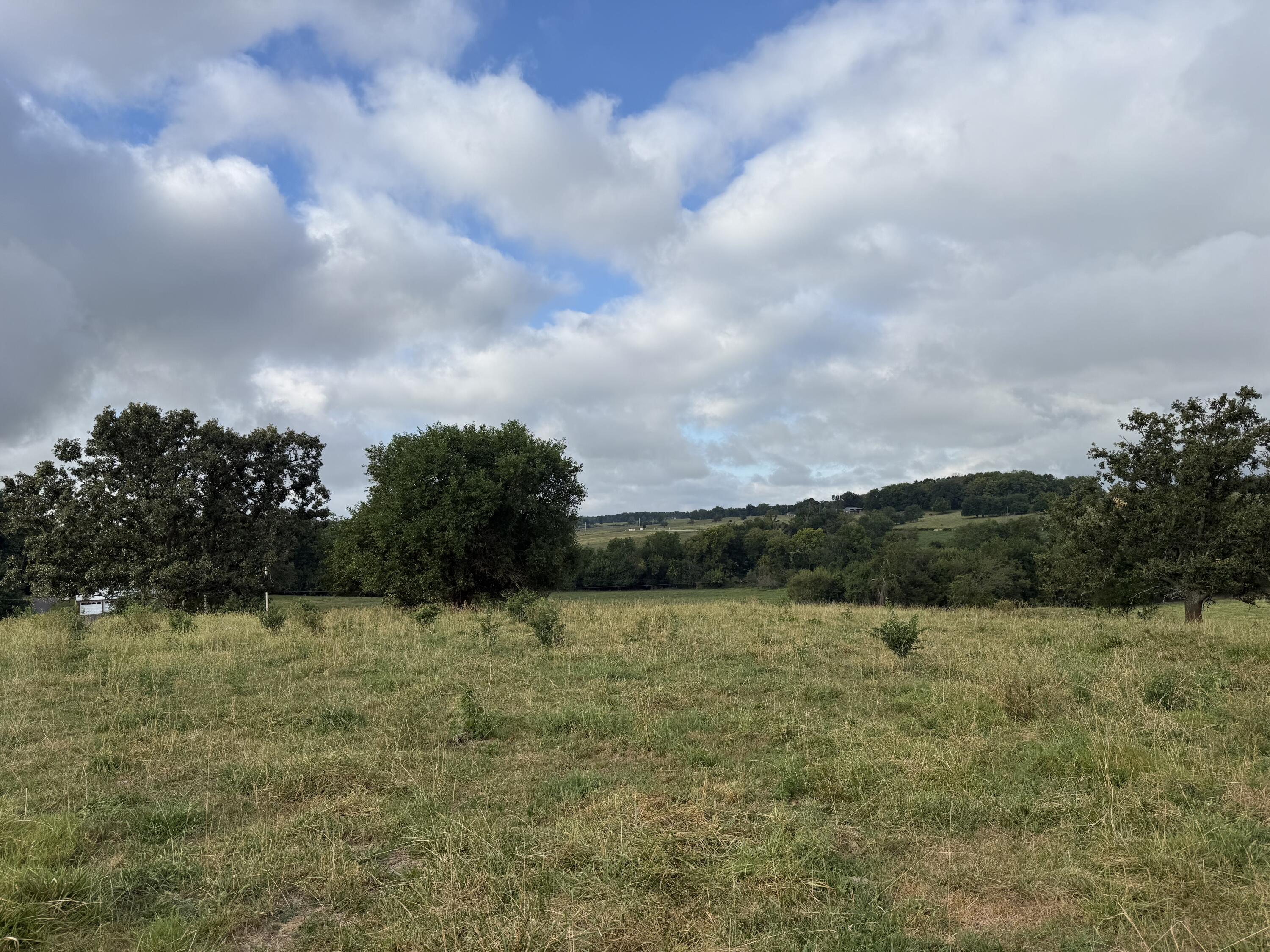Photo 6 - Land for sale – Tract 5 S Farm Road 55   Republic, MO