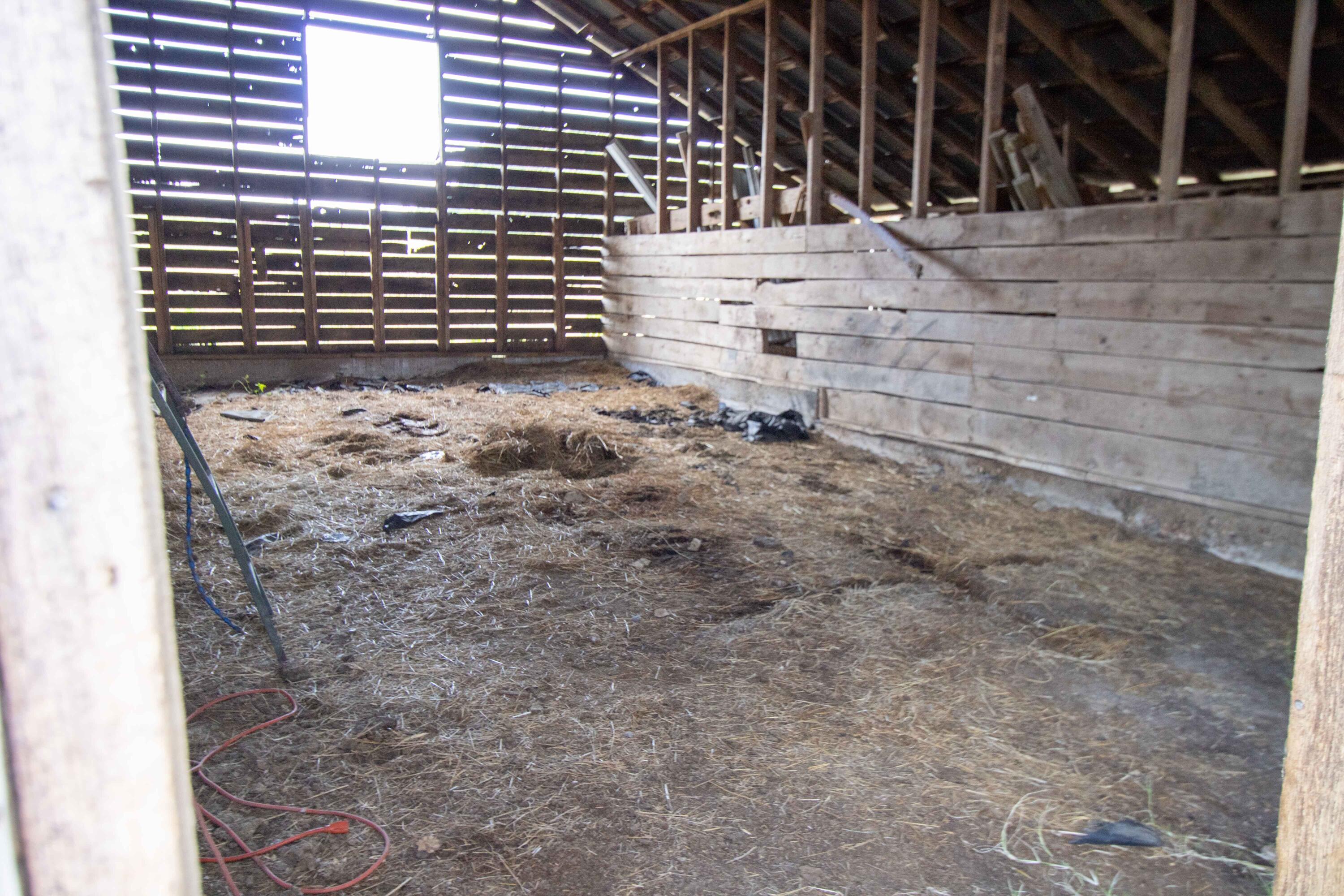 Photo 21 - Farm for sale – 206  Co Road  Ava, MO