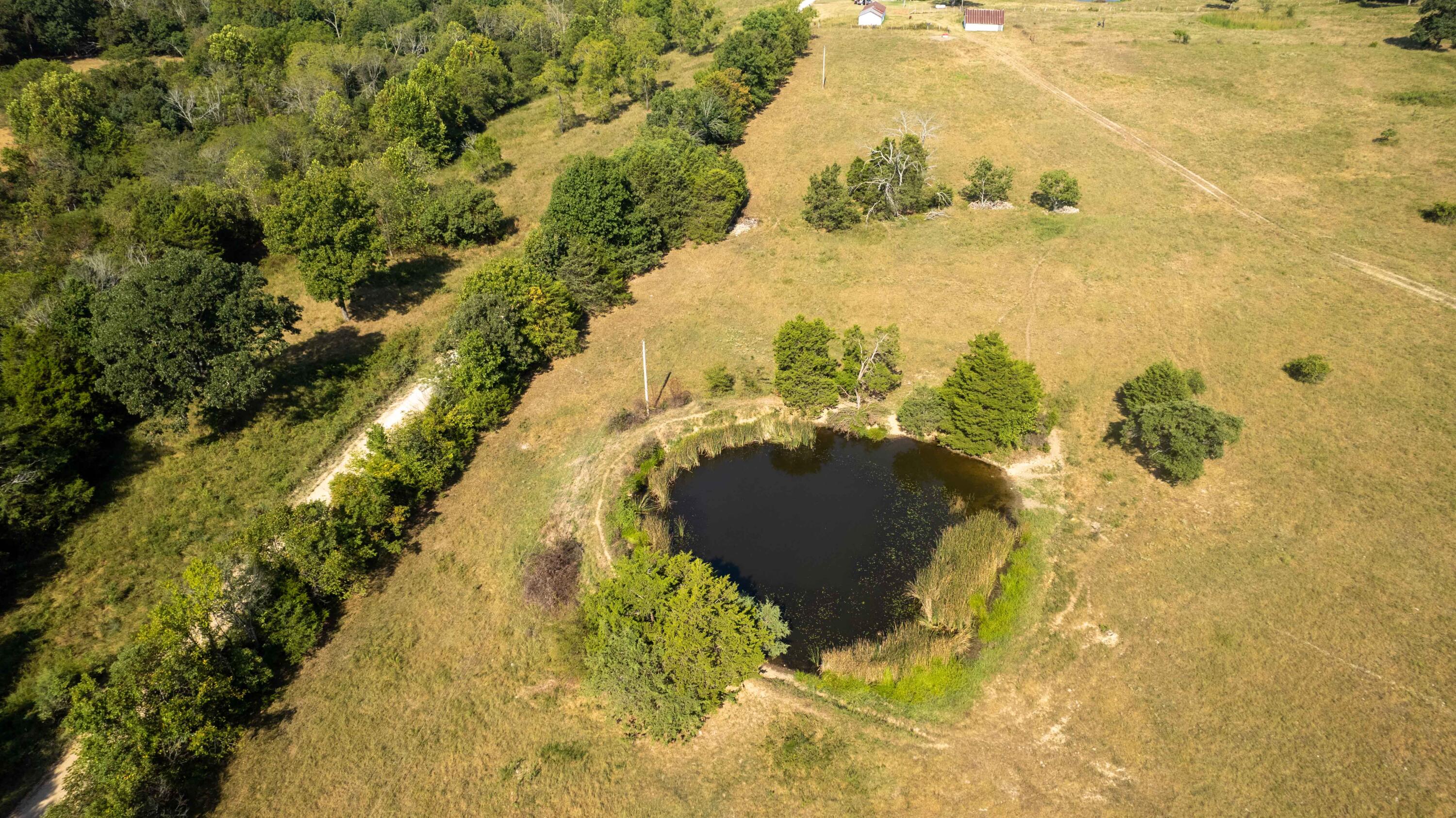 Photo 17 - Farm for sale – 206  Co Road  Ava, MO