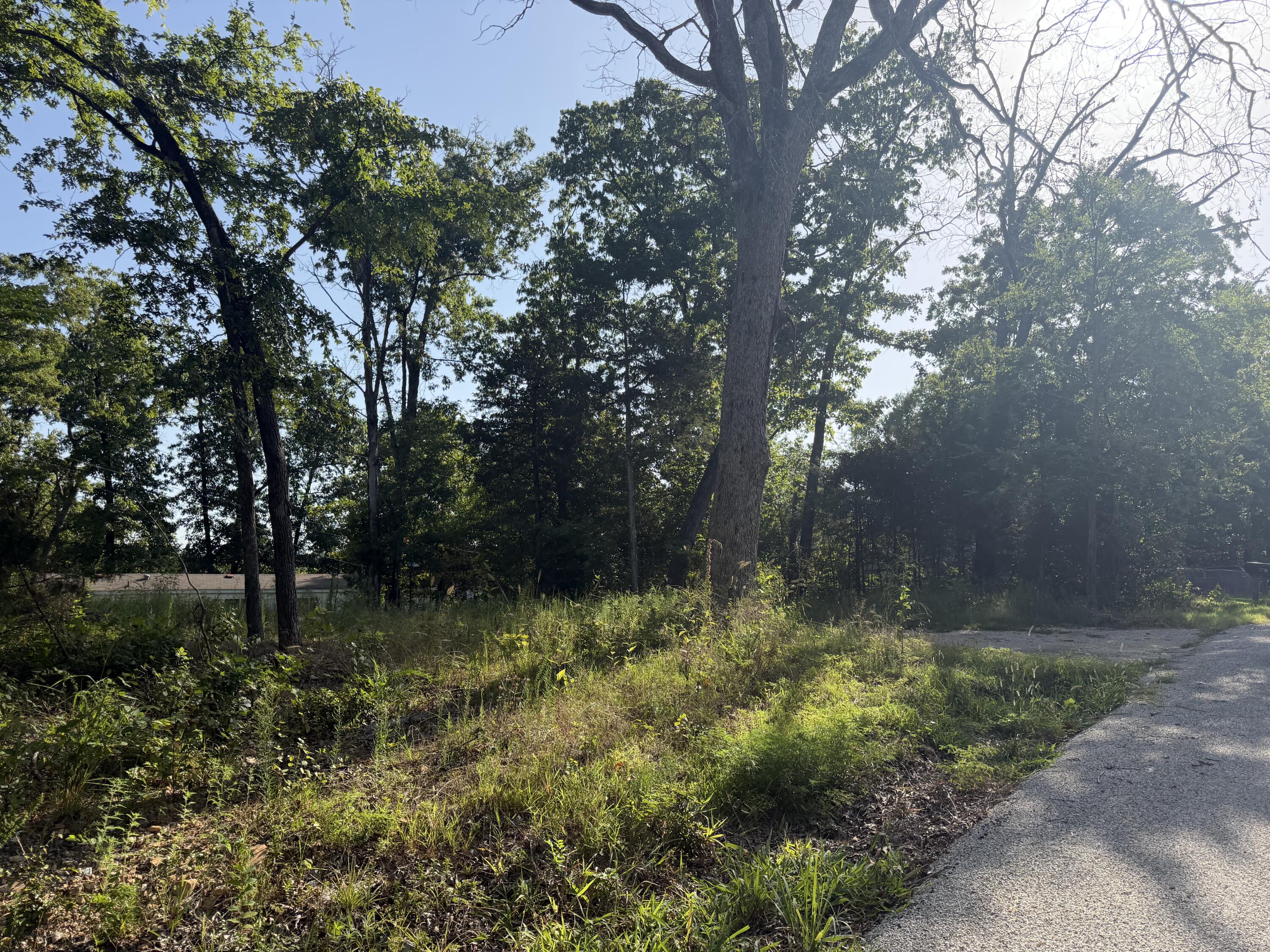Photo 7 - Land for sale – 194  Missouri Bend   Rockaway Beach, MO