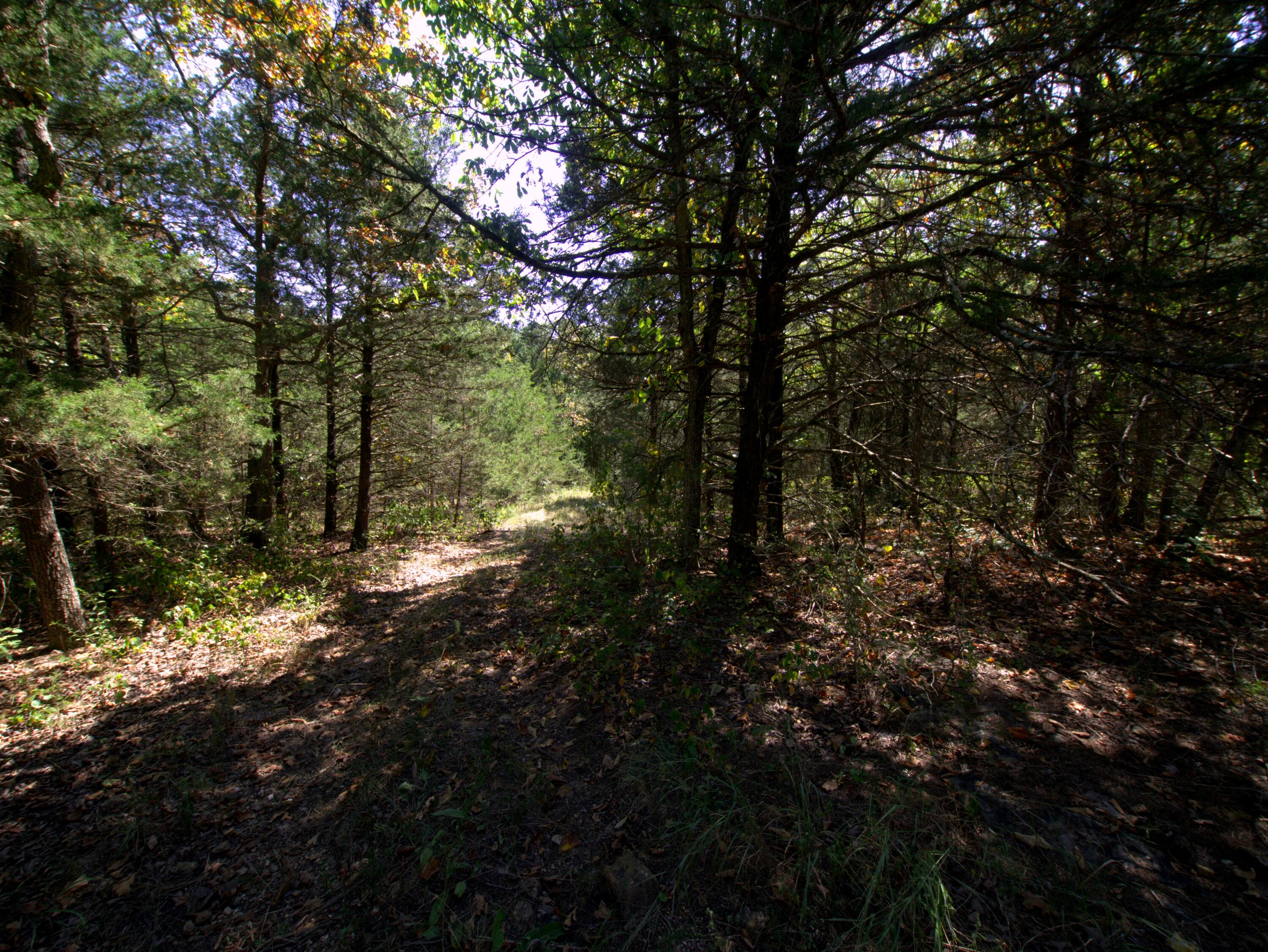 Photo 2 - Land for sale – Tract 1  Simpson Road  Urbana, MO