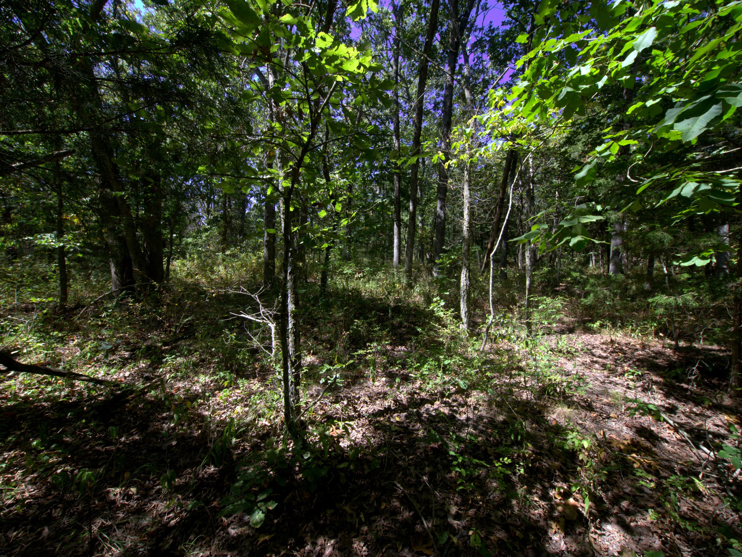 Photo 12 - Land for sale – Tract 1  Simpson Road  Urbana, MO