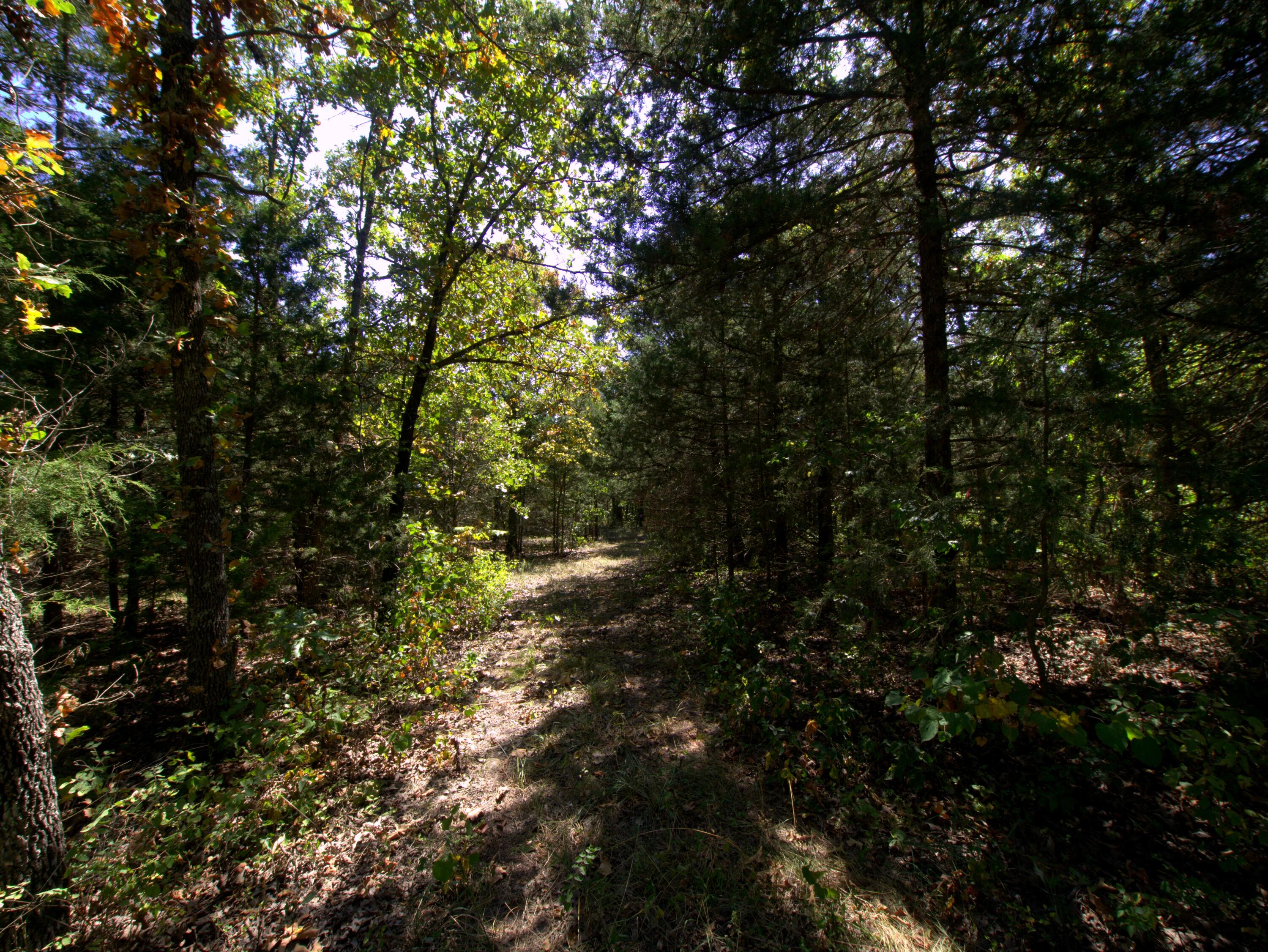 Photo 6 - Land for sale – Tract 1  Simpson Road  Urbana, MO
