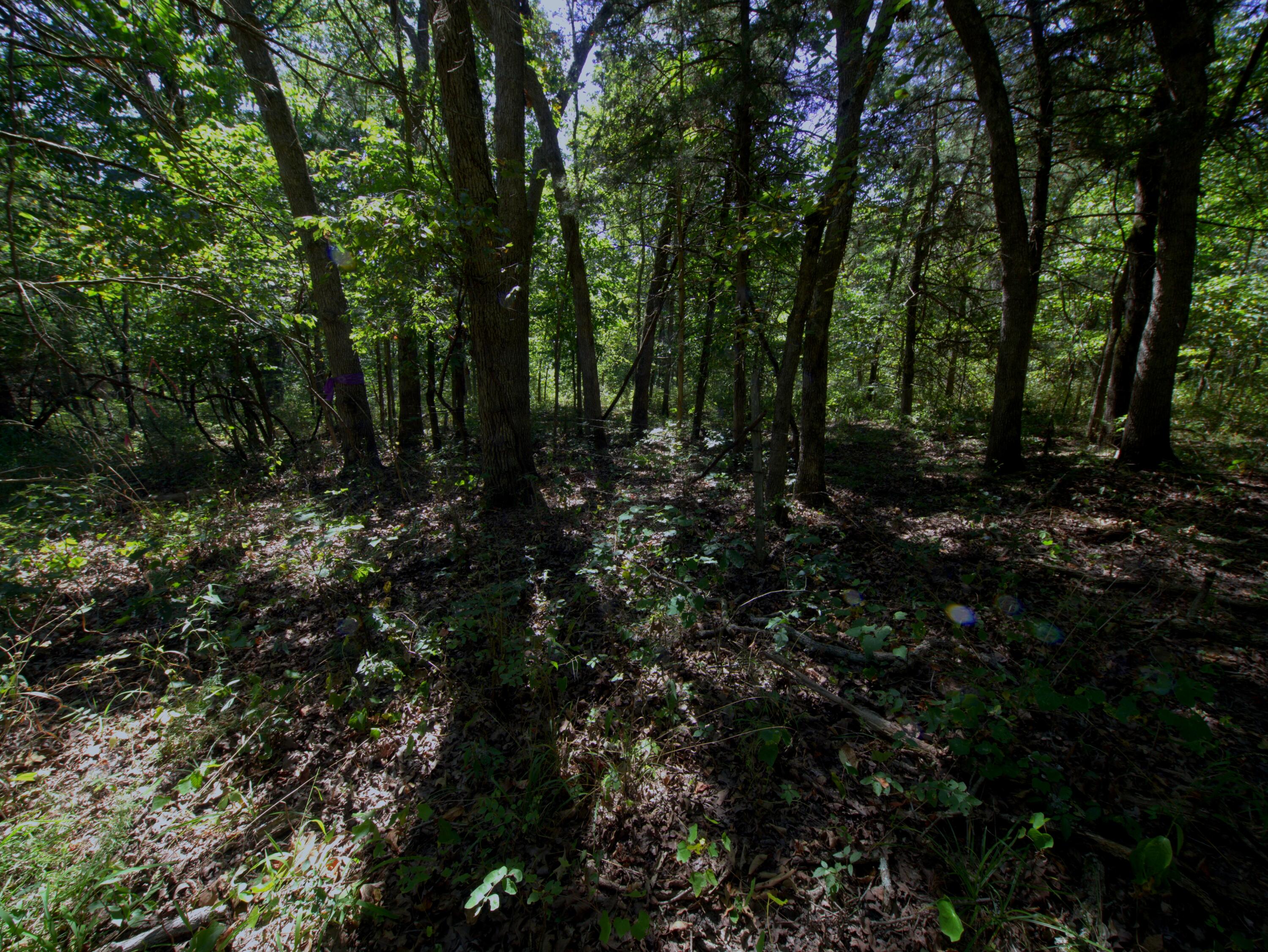 Photo 7 - Land for sale – Tract 1  Simpson Road  Urbana, MO