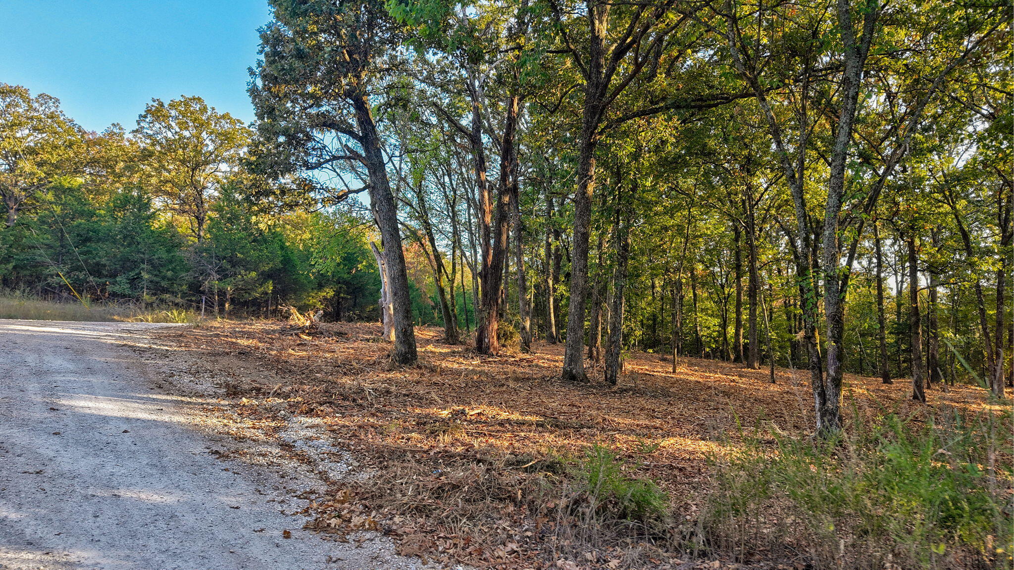 Photo 14 - Land for sale – 00  Pack Lane  Lampe, MO