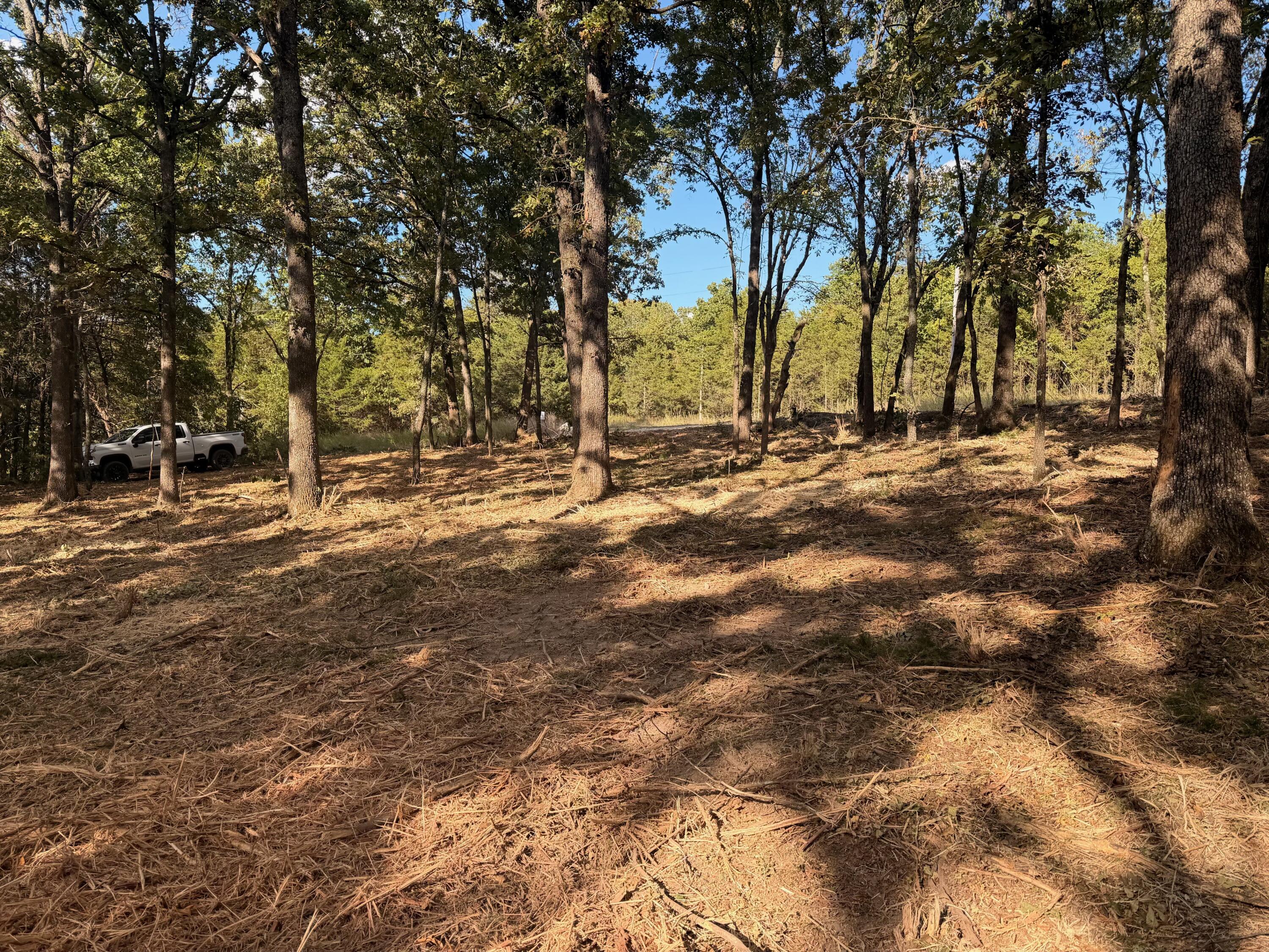 Photo 6 - Land for sale – 00  Pack Lane  Lampe, MO
