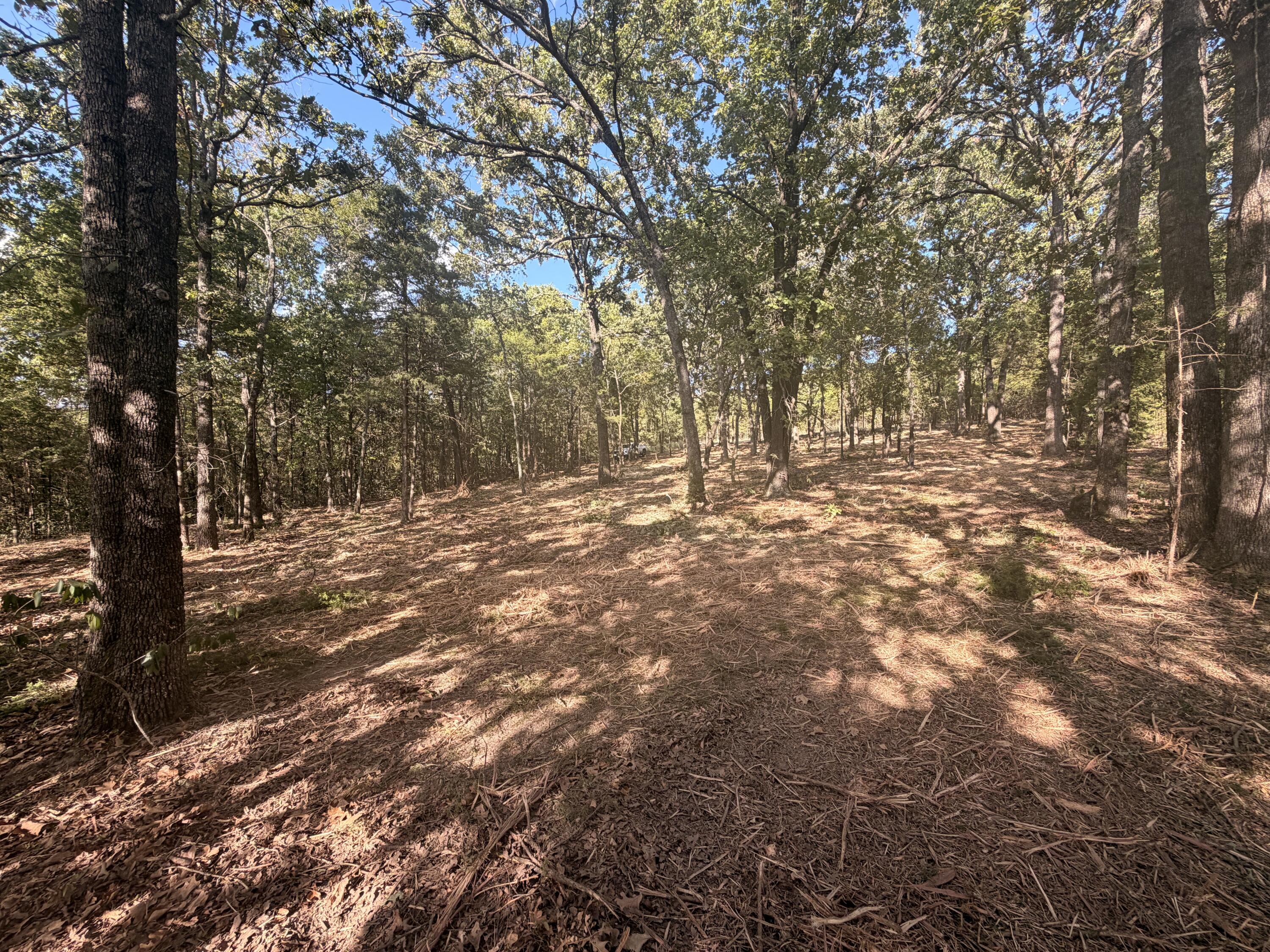 Photo 8 - Land for sale – 00  Pack Lane  Lampe, MO