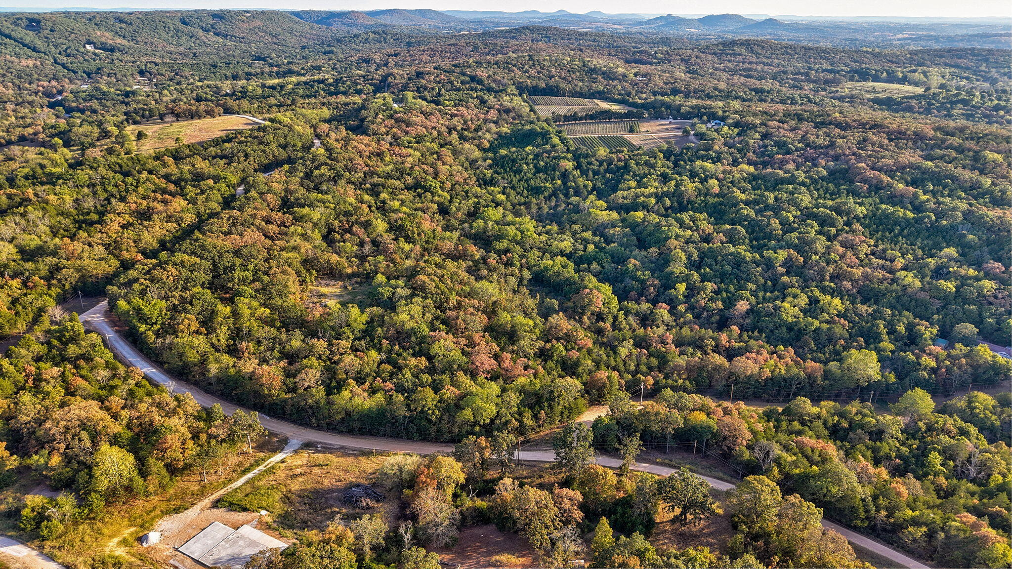 Photo 15 - Land for sale – 00  Pack Lane  Lampe, MO