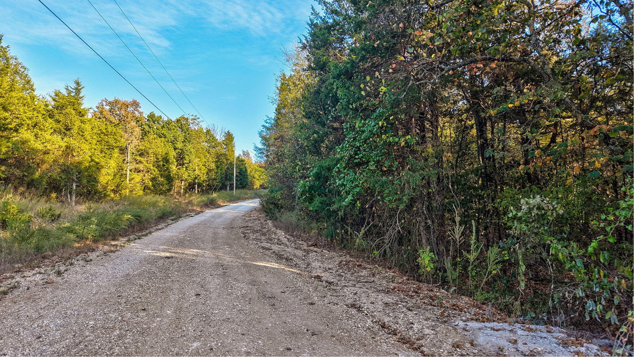 Photo 12 - Land for sale – 00  Pack Lane  Lampe, MO