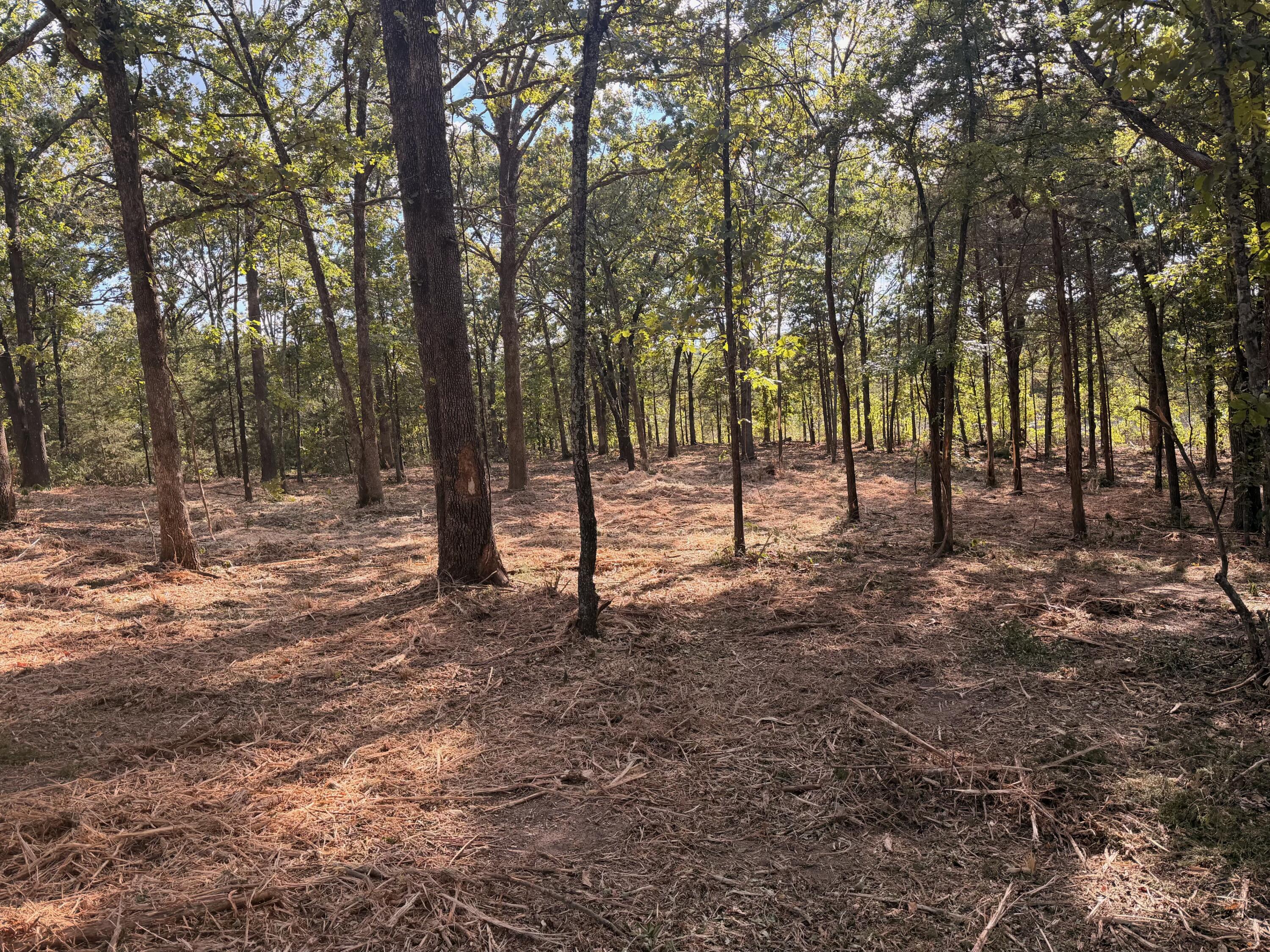 Photo 5 - Land for sale – 00  Pack Lane  Lampe, MO