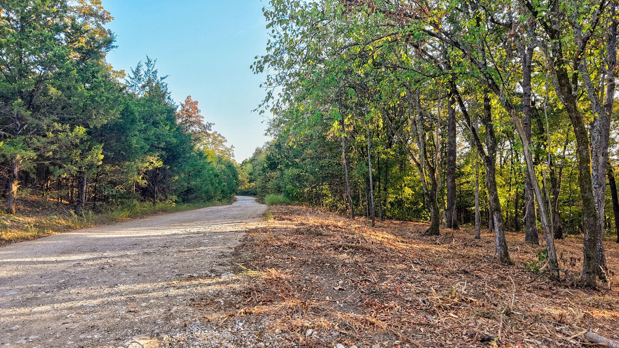 Photo 13 - Land for sale – 00  Pack Lane  Lampe, MO