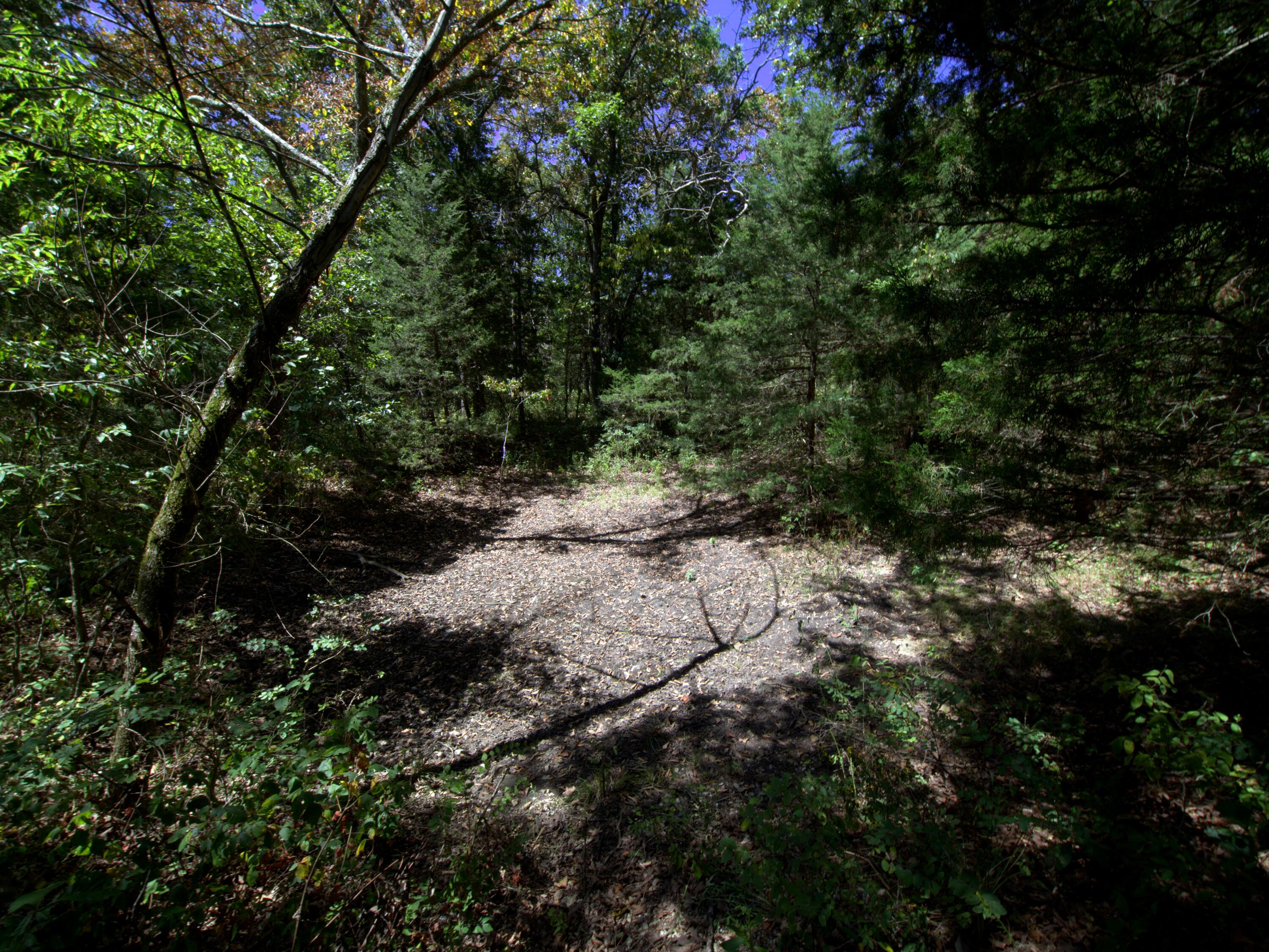 Photo 12 - Land for sale – Tract 2  Simpson Rd   Urbana, MO