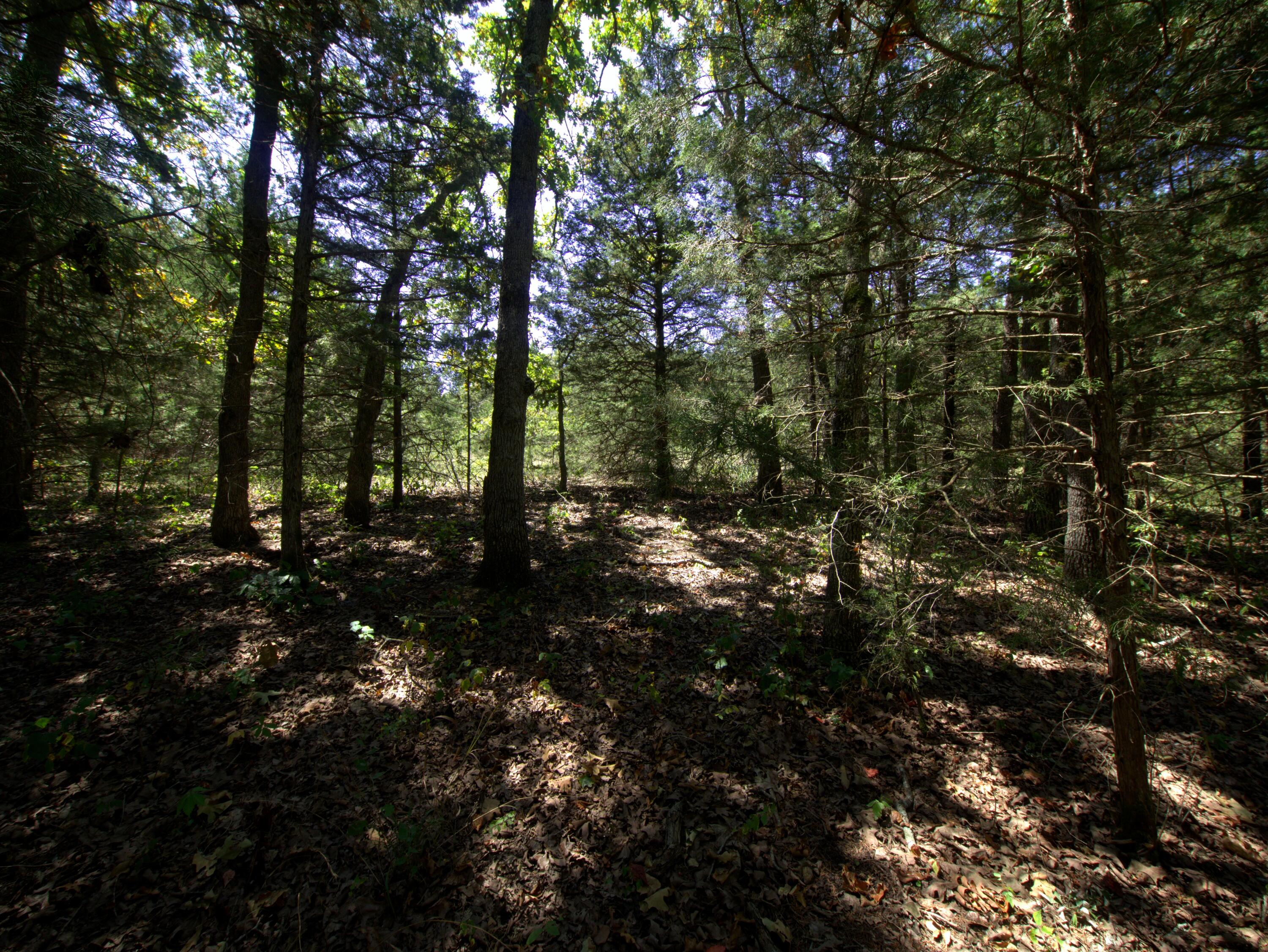 Photo 4 - Land for sale – Tract 3  Simpson Rd   Urbana, MO