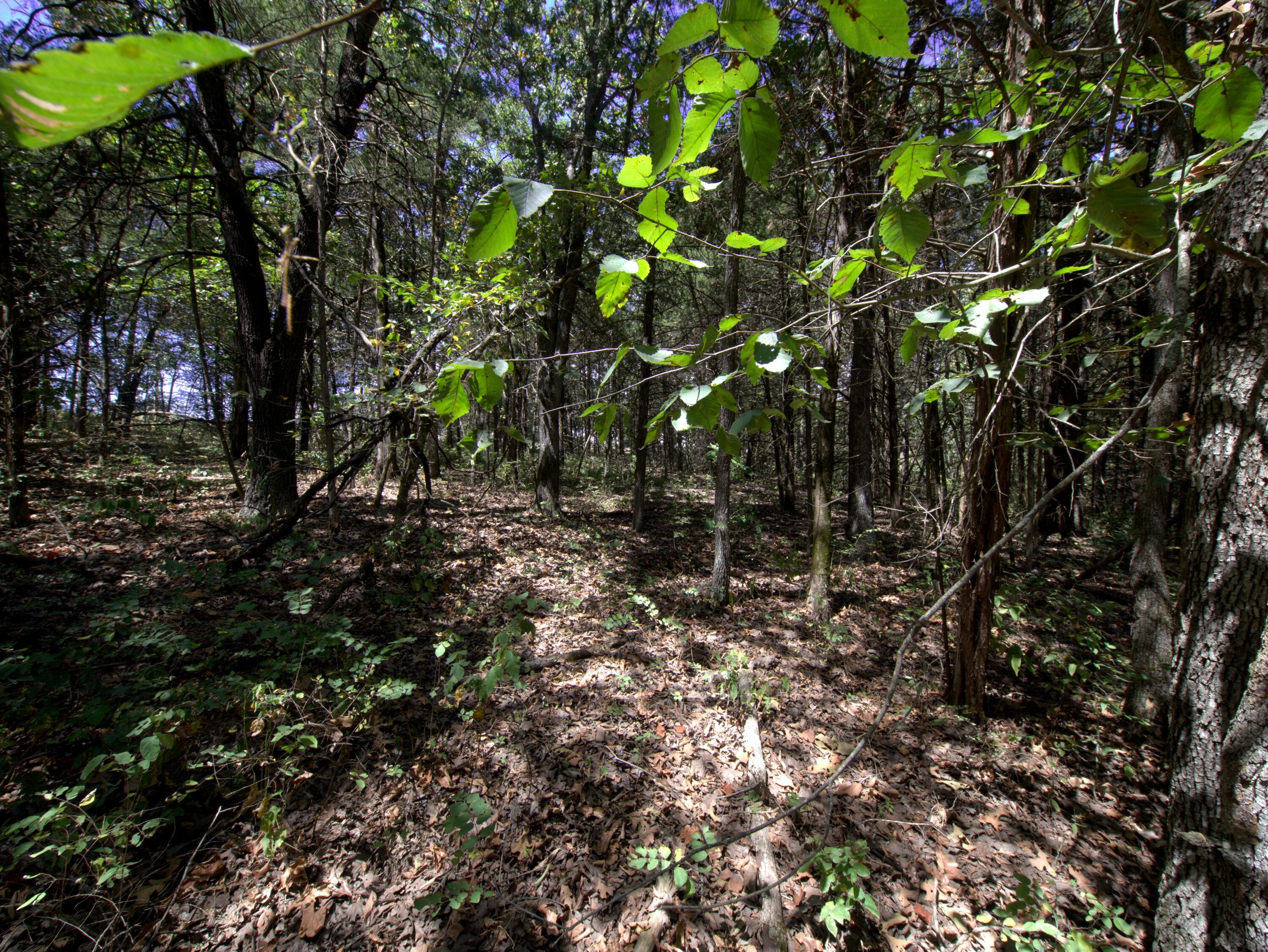 Photo 11 - Land for sale – Tract 3  Simpson Rd   Urbana, MO