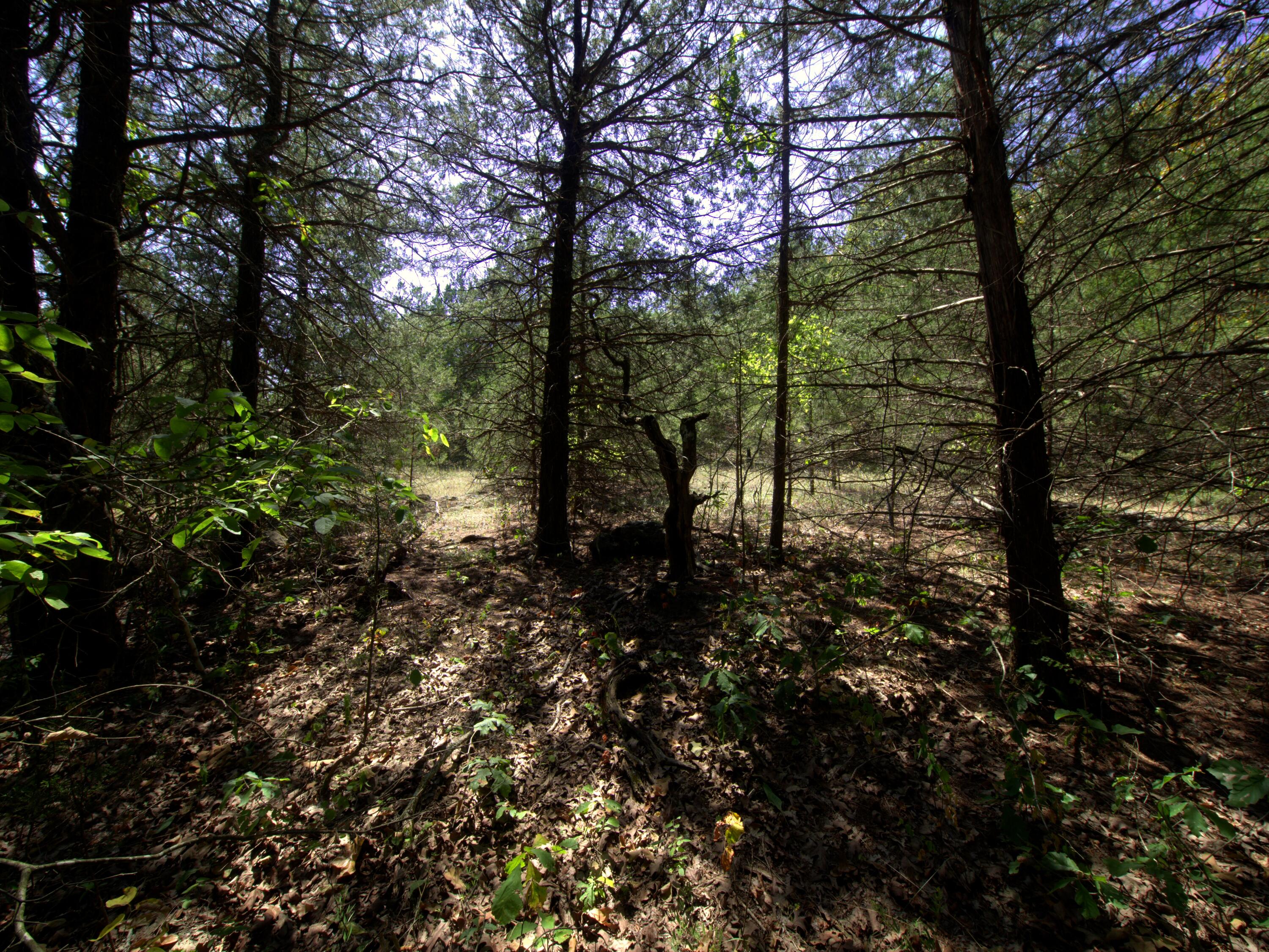 Photo 10 - Land for sale – Tract 3  Simpson Rd   Urbana, MO