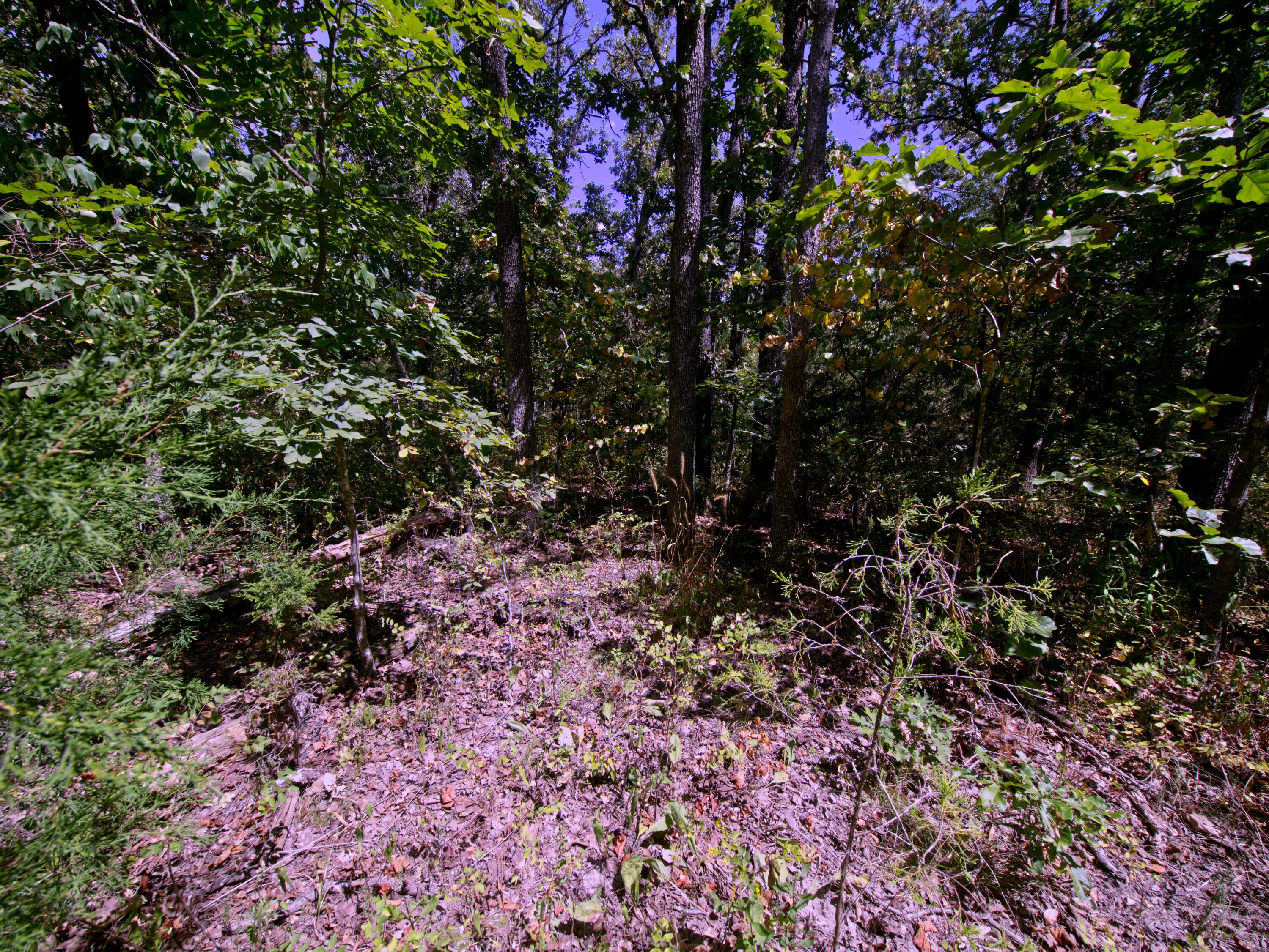 Photo 9 - Land for sale – Tract 4  Simpson Rd   Urbana, MO