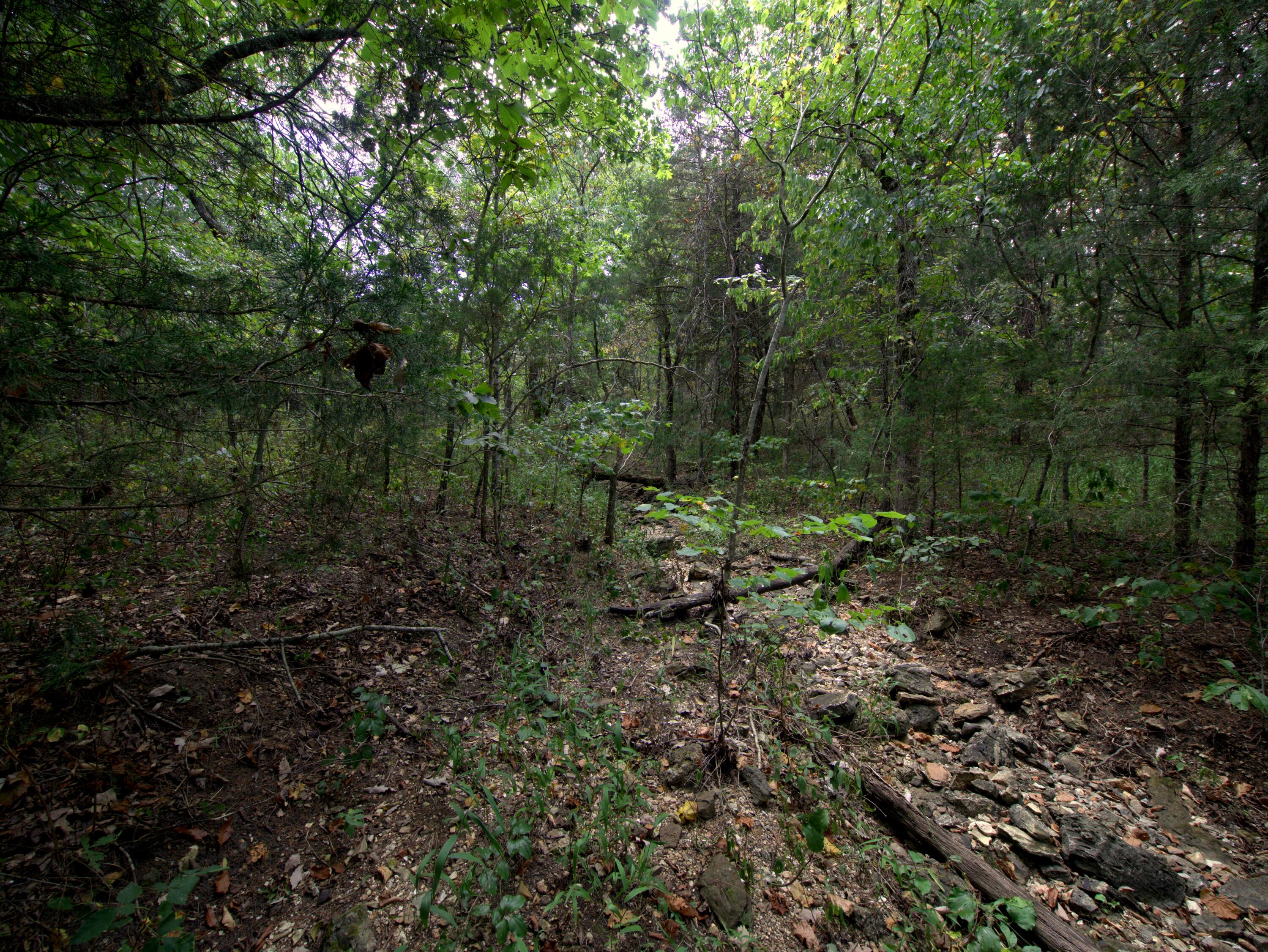 Photo 15 - Land for sale – Tract 4  Simpson Rd   Urbana, MO