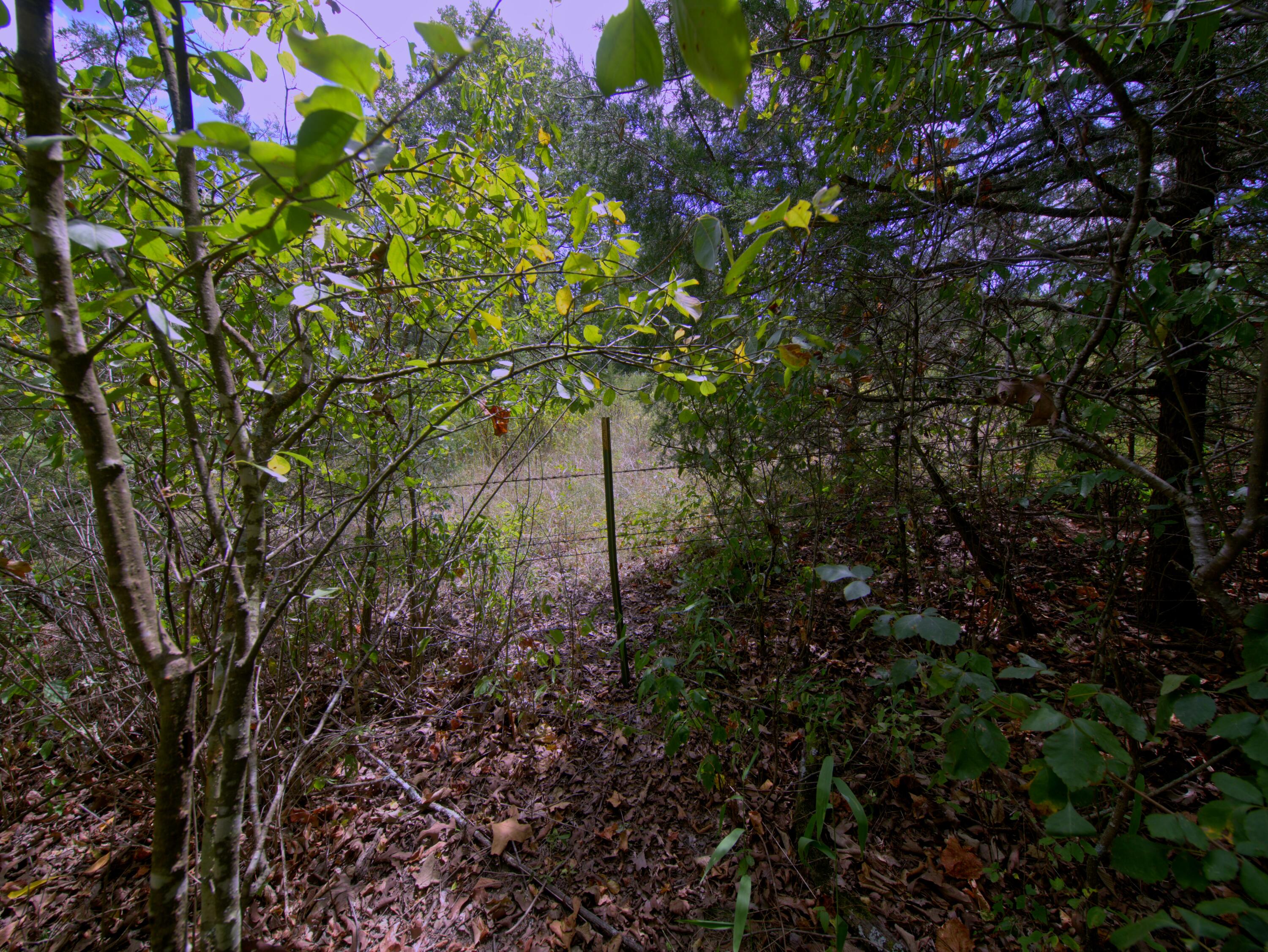 Photo 17 - Land for sale – Tract 4  Simpson Rd   Urbana, MO