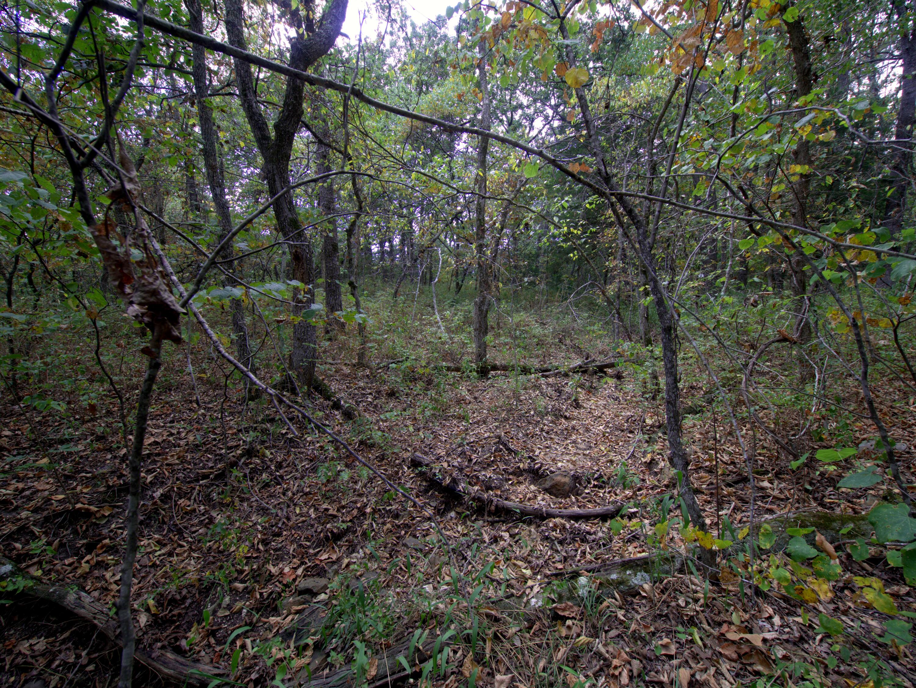Photo 16 - Land for sale – Tract 4  Simpson Rd   Urbana, MO
