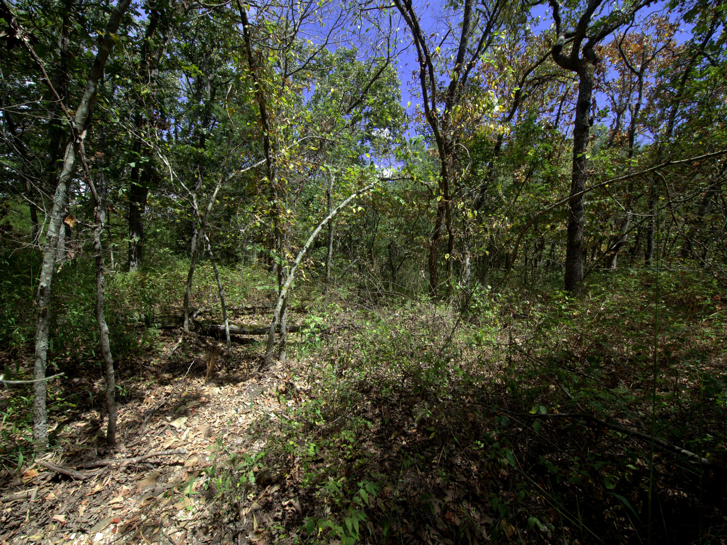 Photo 11 - Land for sale – Tract 4  Simpson Rd   Urbana, MO