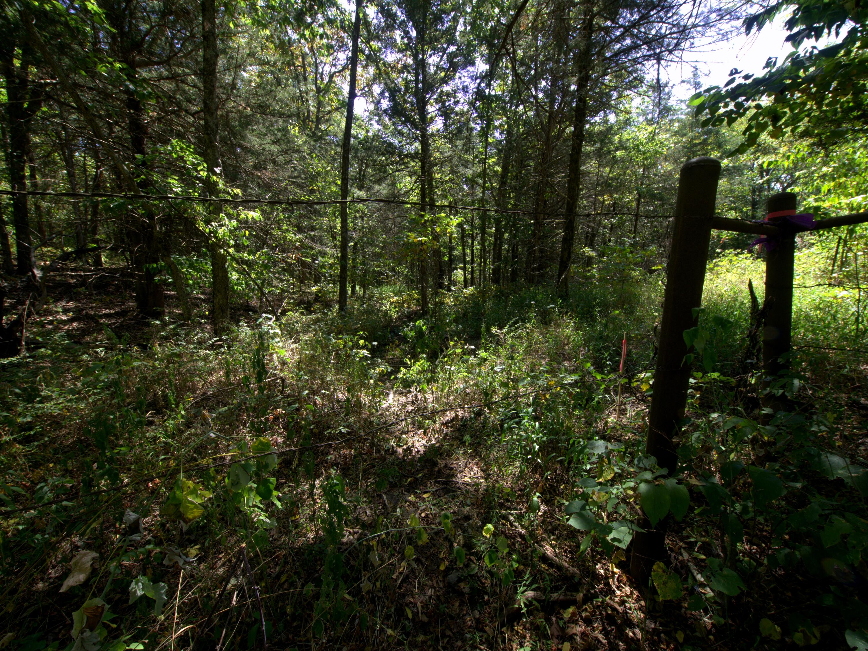 Photo 9 - Land for sale – Tract 1&2  Simpson Rd   Urbana, MO