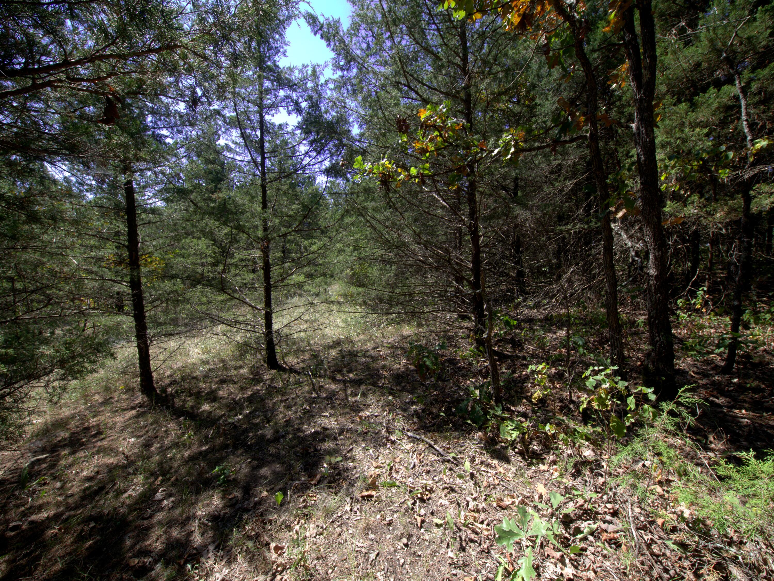 Photo 14 - Land for sale – Tract 1&2  Simpson Rd   Urbana, MO