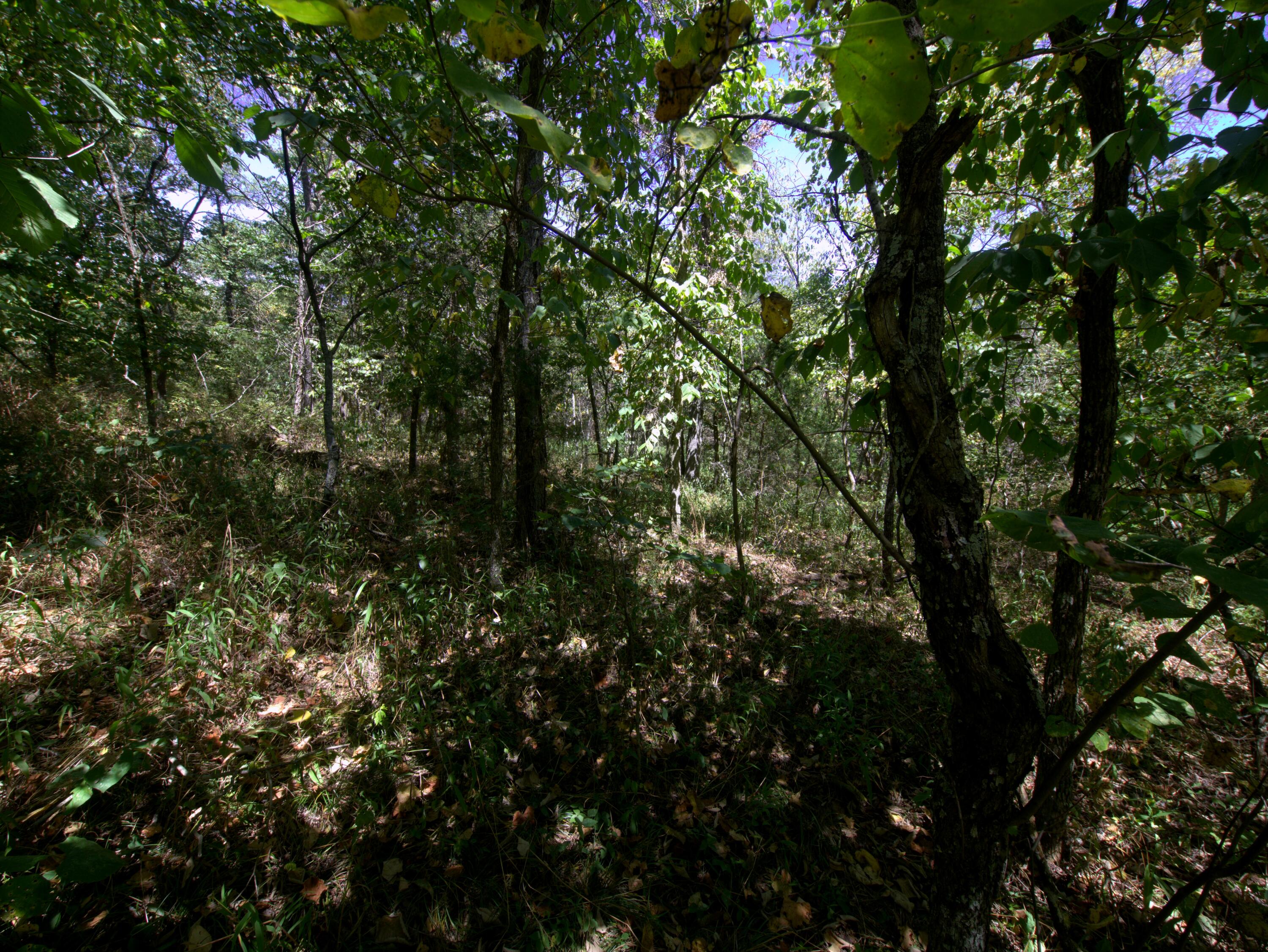 Photo 24 - Land for sale – Tract 1&2  Simpson Rd   Urbana, MO