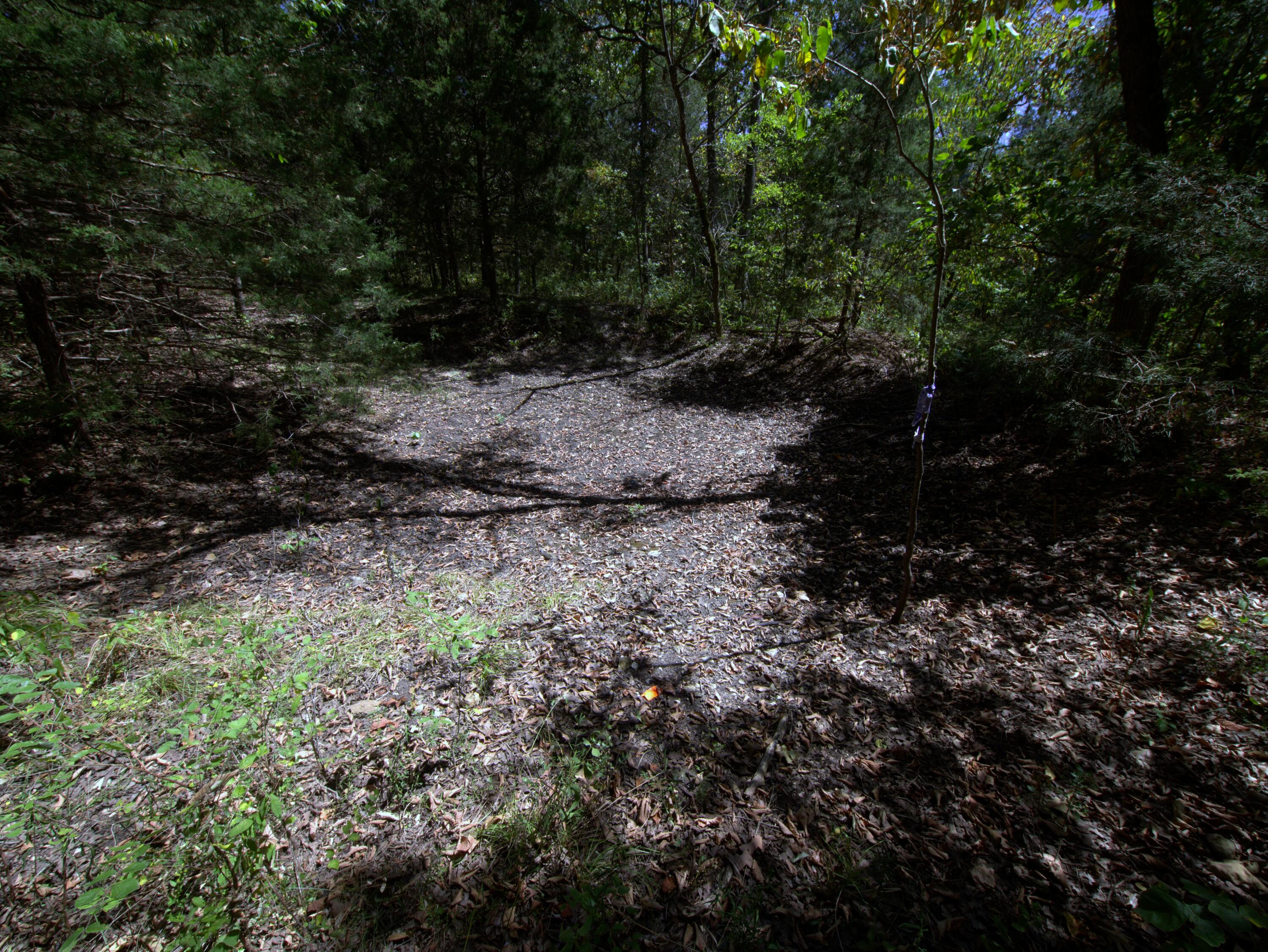 Photo 17 - Land for sale – Tract 1&2  Simpson Rd   Urbana, MO
