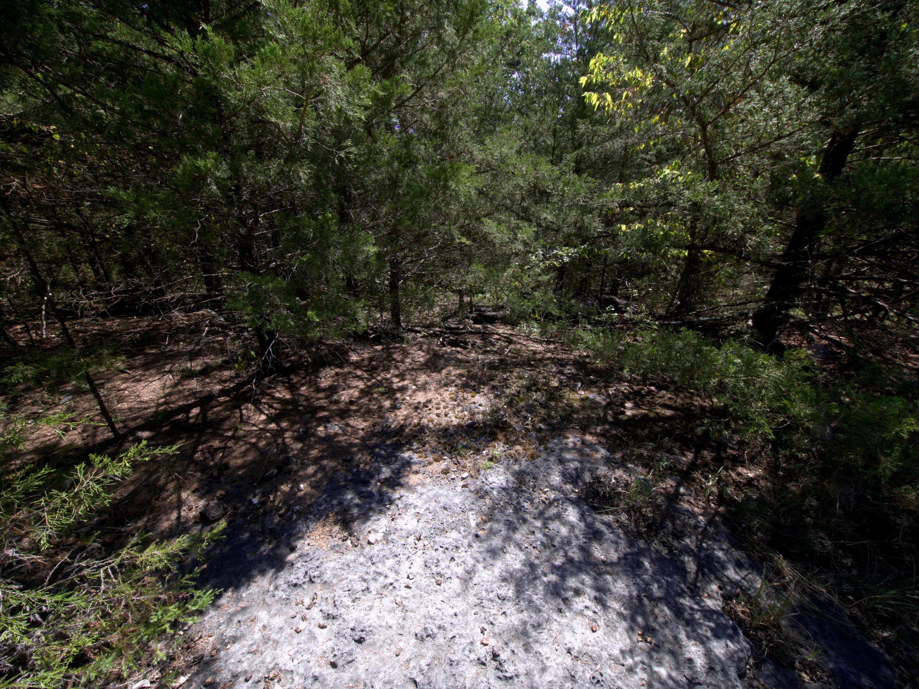 Photo 22 - Land for sale – Tract 1&2  Simpson Rd   Urbana, MO