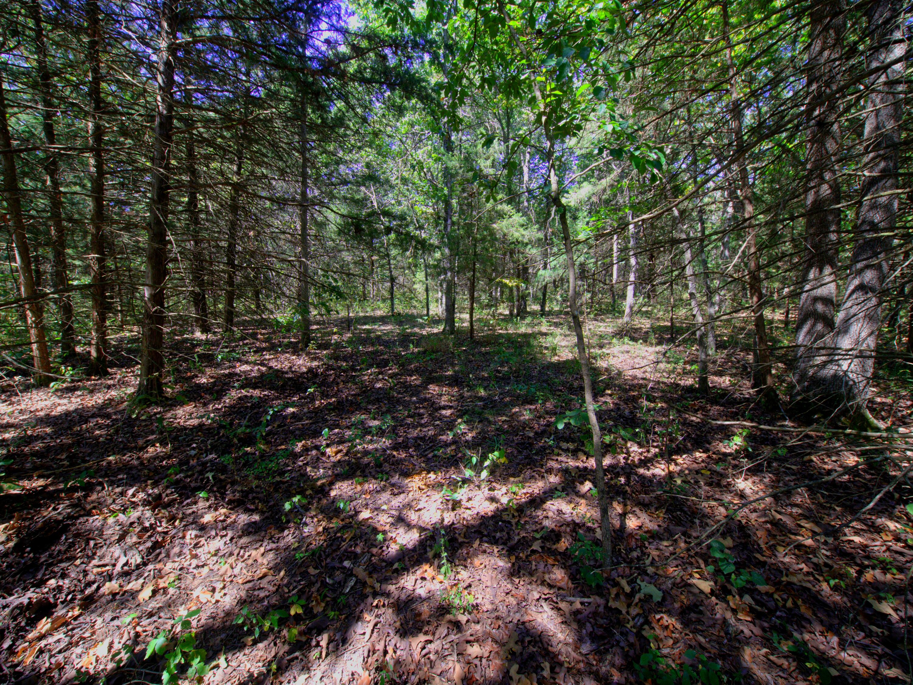 Photo 2 - Land for sale – Tract 1&2  Simpson Rd   Urbana, MO