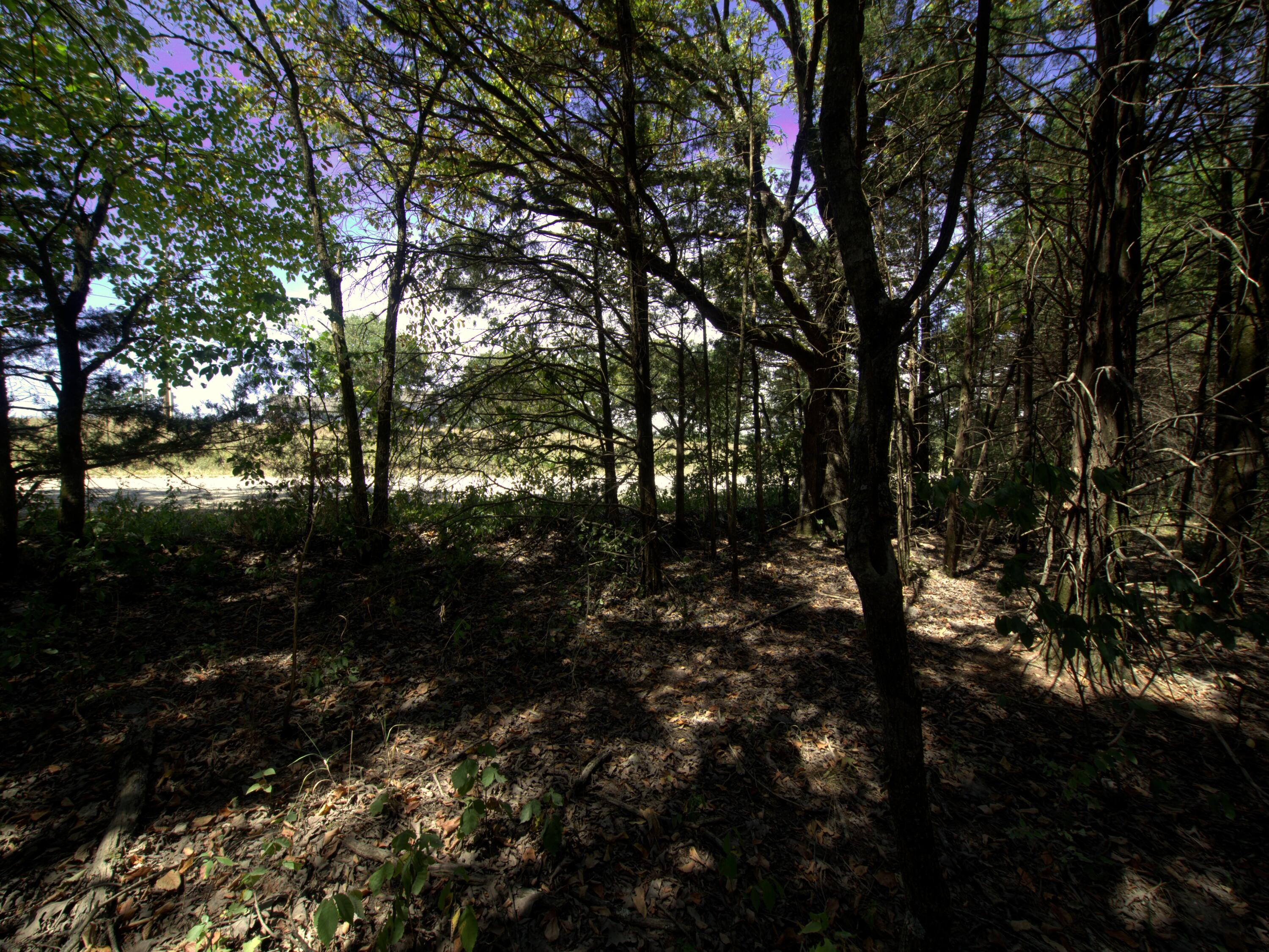 Photo 25 - Land for sale – Tract 2&3  Simpson Rd   Urbana, MO