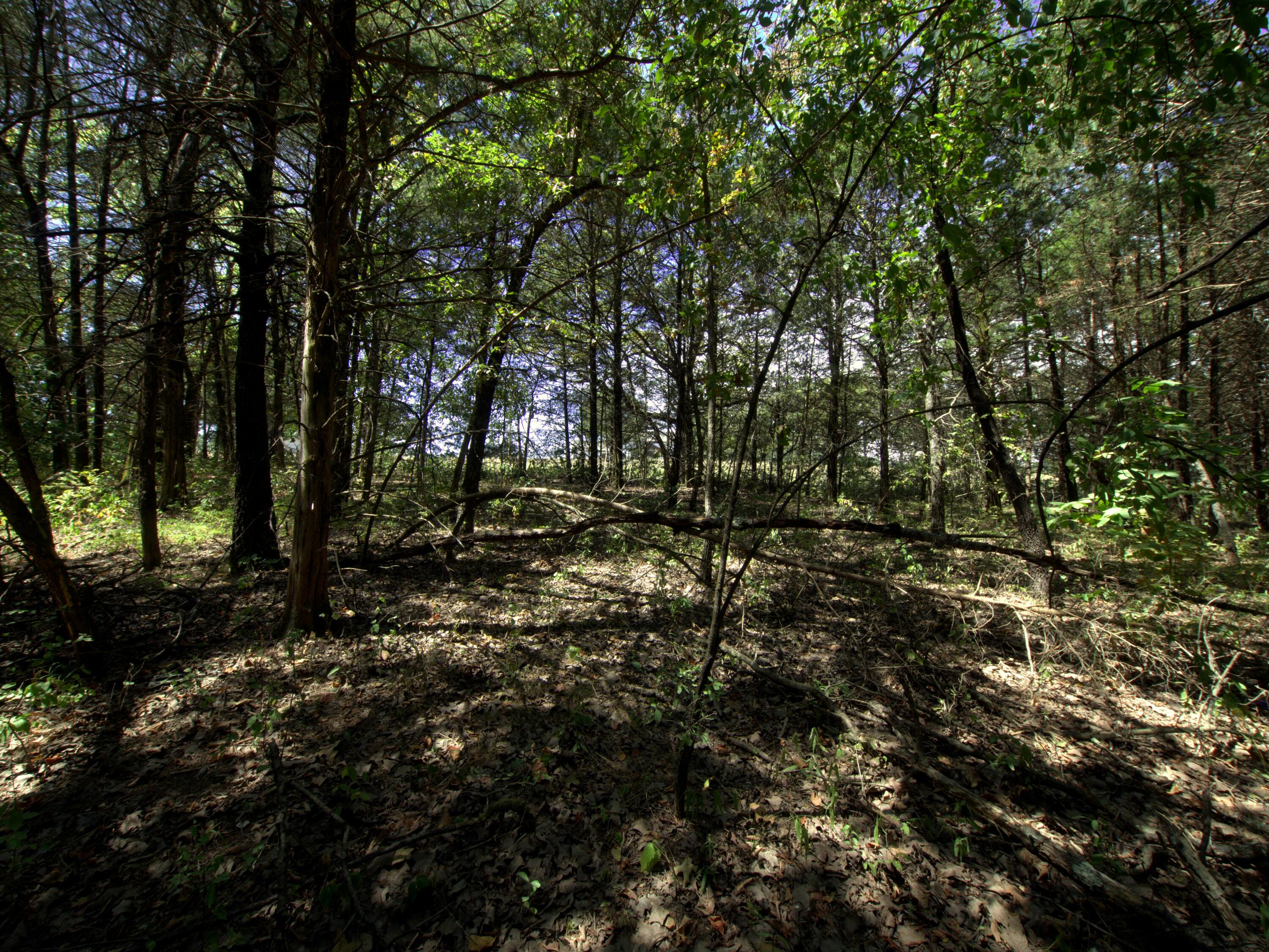 Photo 24 - Land for sale – Tract 2&3  Simpson Rd   Urbana, MO