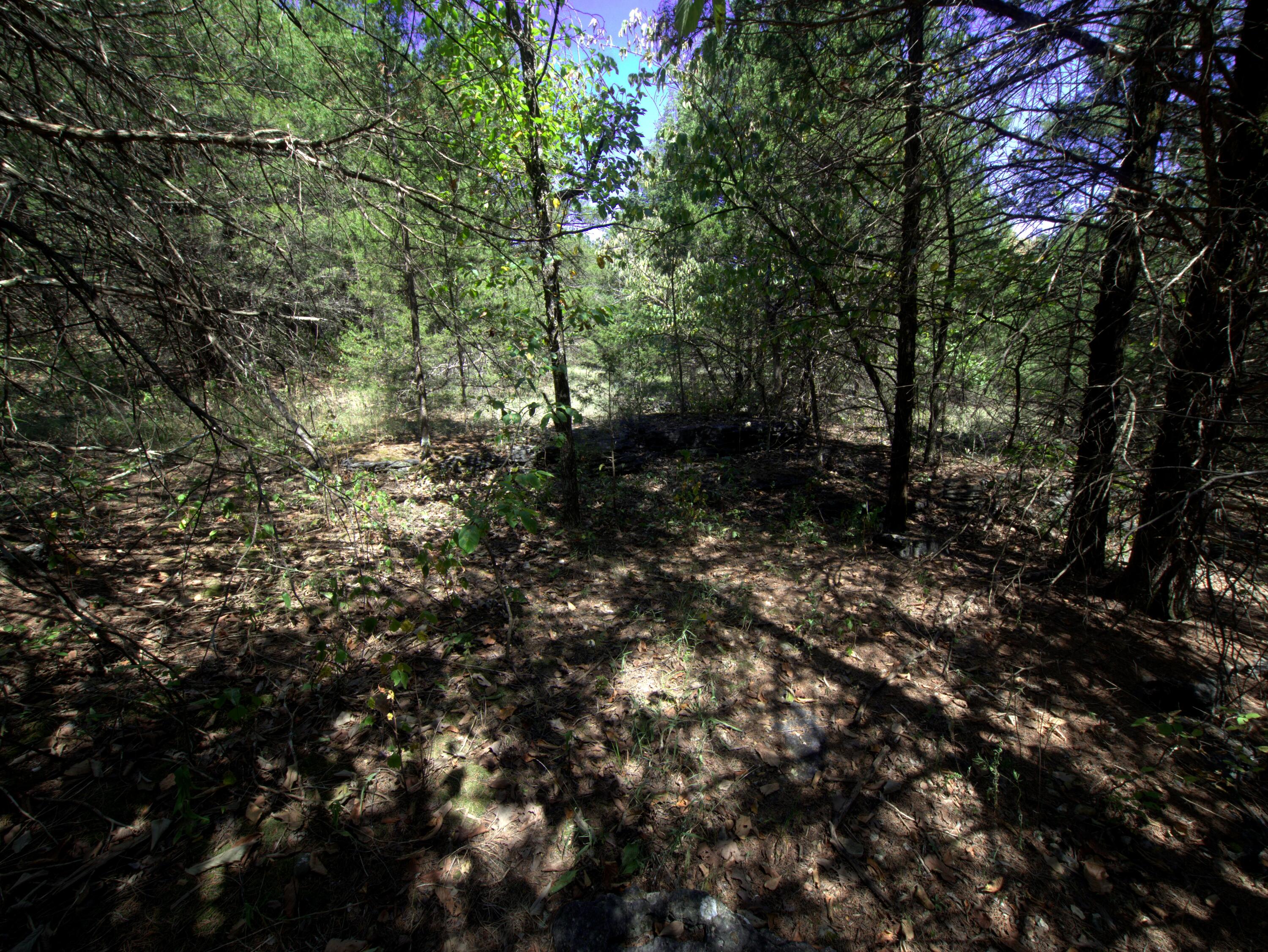 Photo 4 - Land for sale – Tract 2&3  Simpson Rd   Urbana, MO