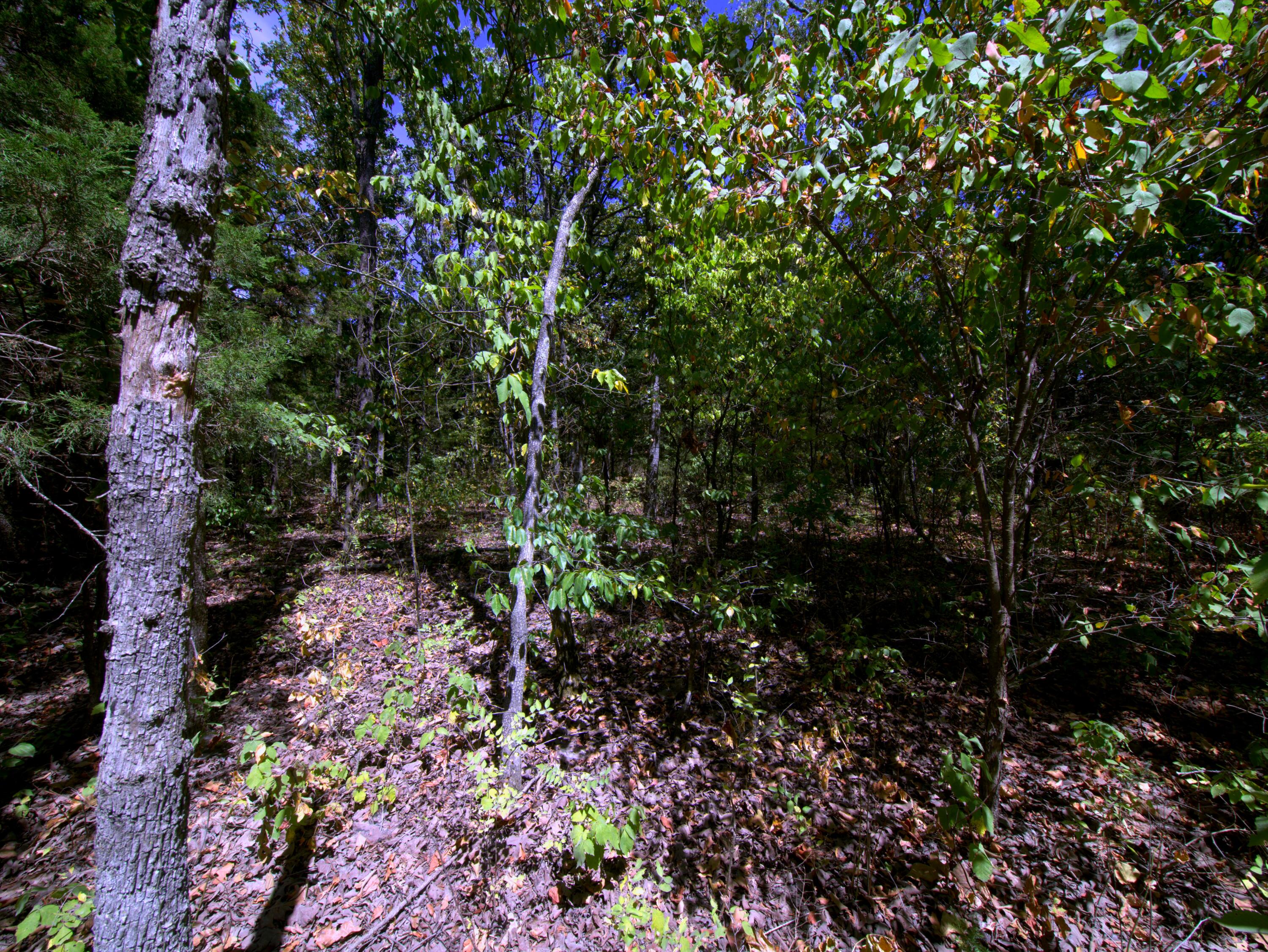 Photo 28 - Land for sale – Tract 2&3  Simpson Rd   Urbana, MO