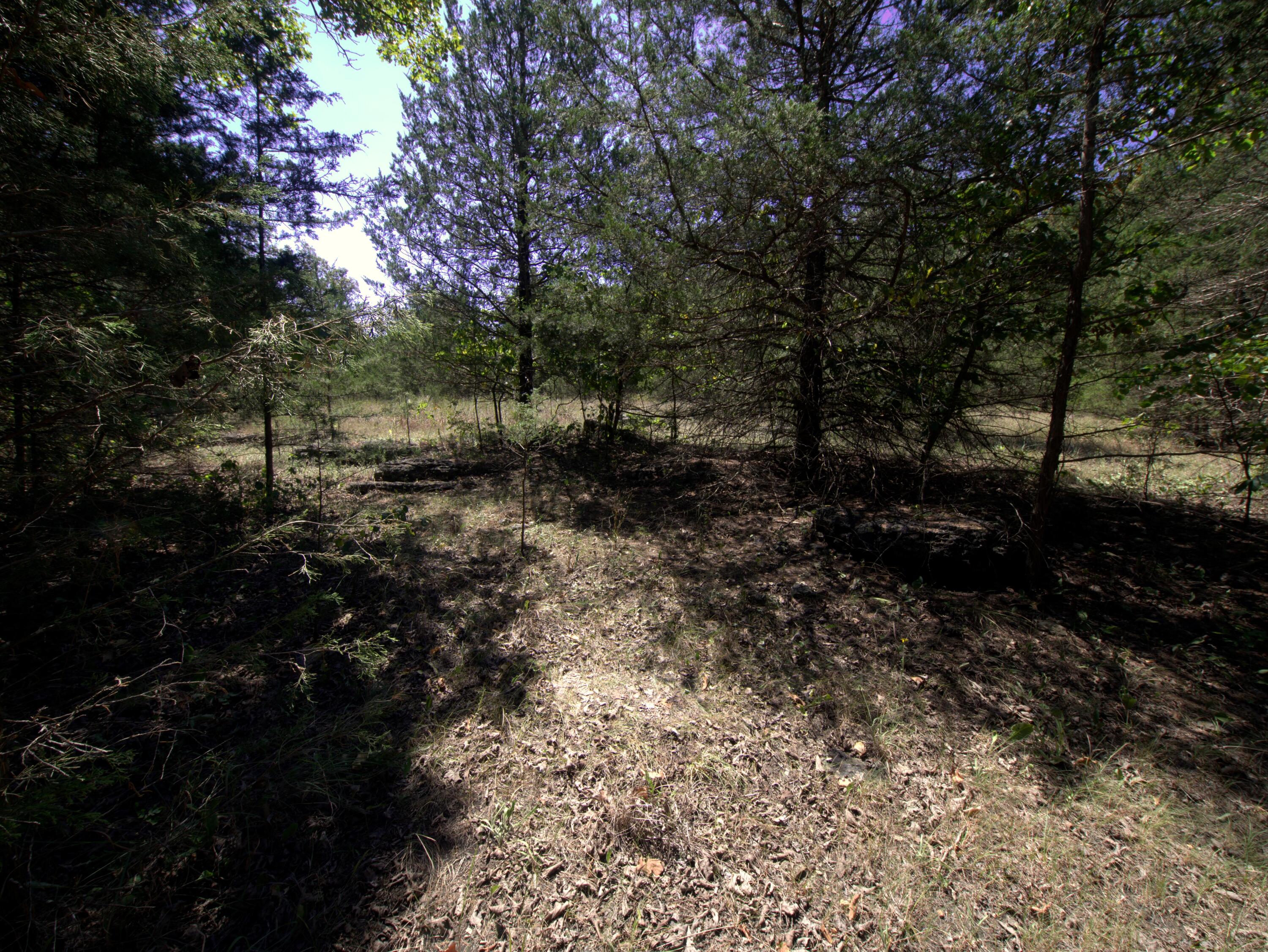 Photo 7 - Land for sale – Tract 3&4  Simpson Rd   Urbana, MO