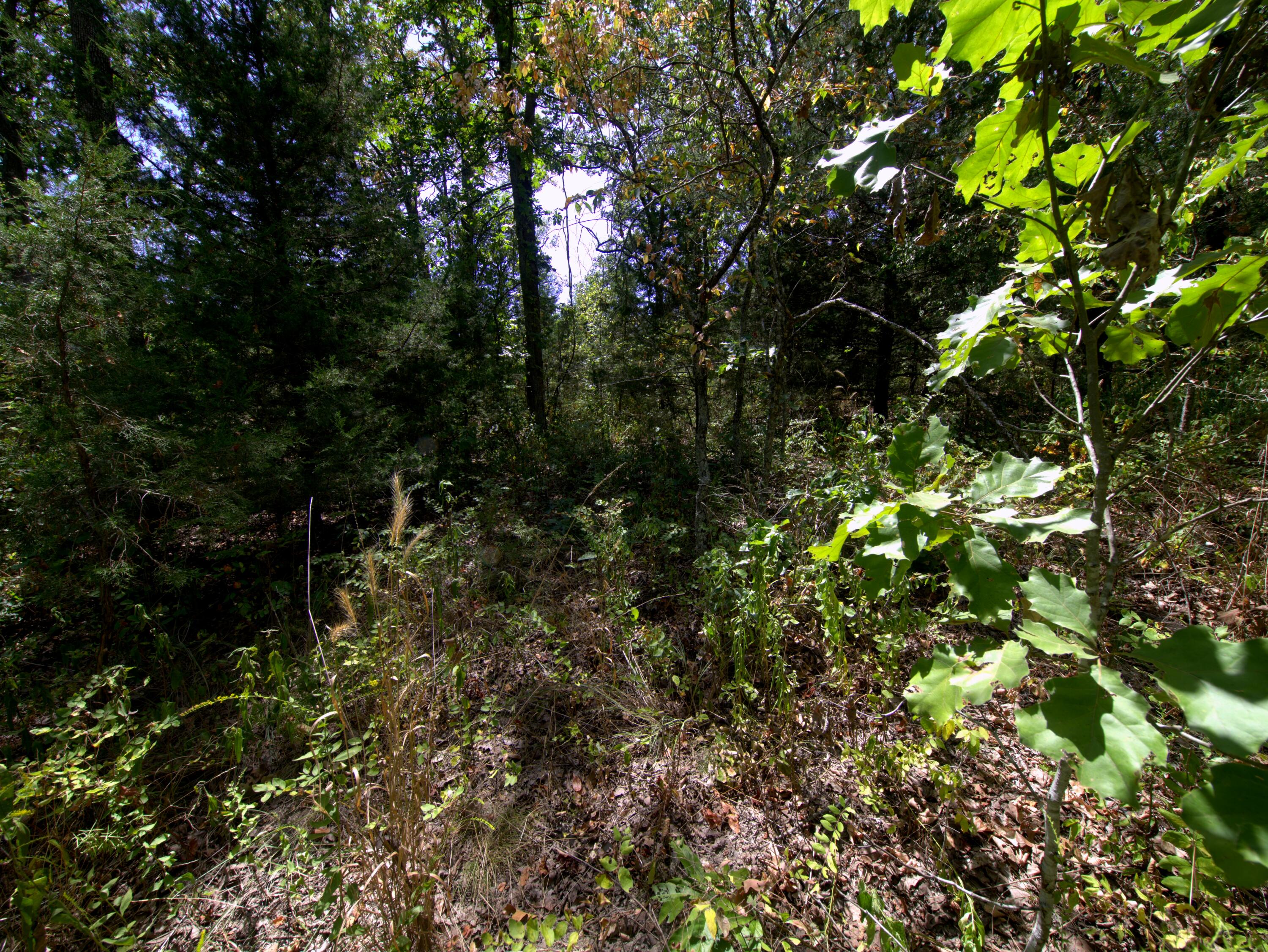 Photo 24 - Land for sale – Tract 3&4  Simpson Rd   Urbana, MO