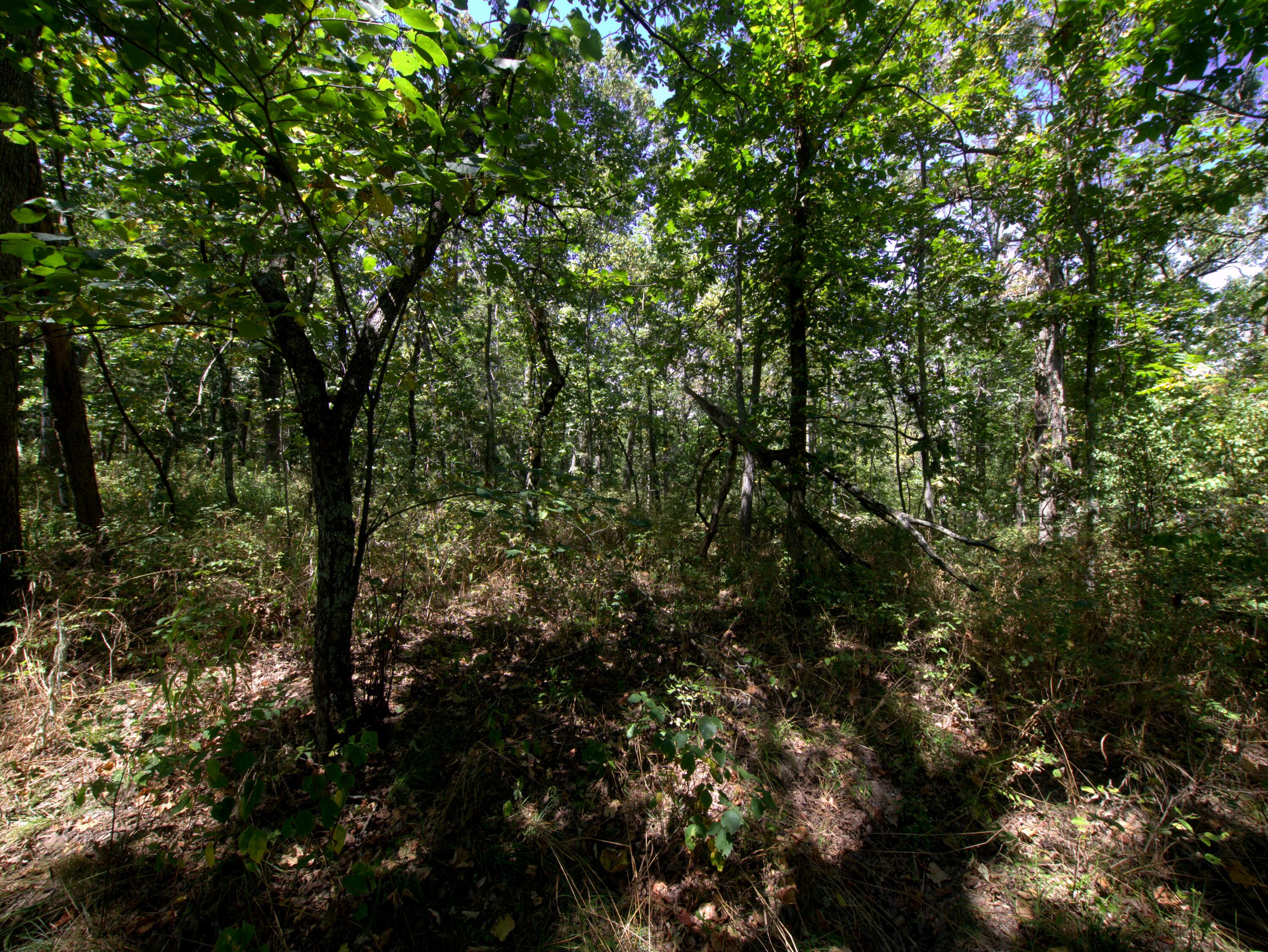 Land for sale – Tract 3&4  Simpson Rd   Urbana, MO