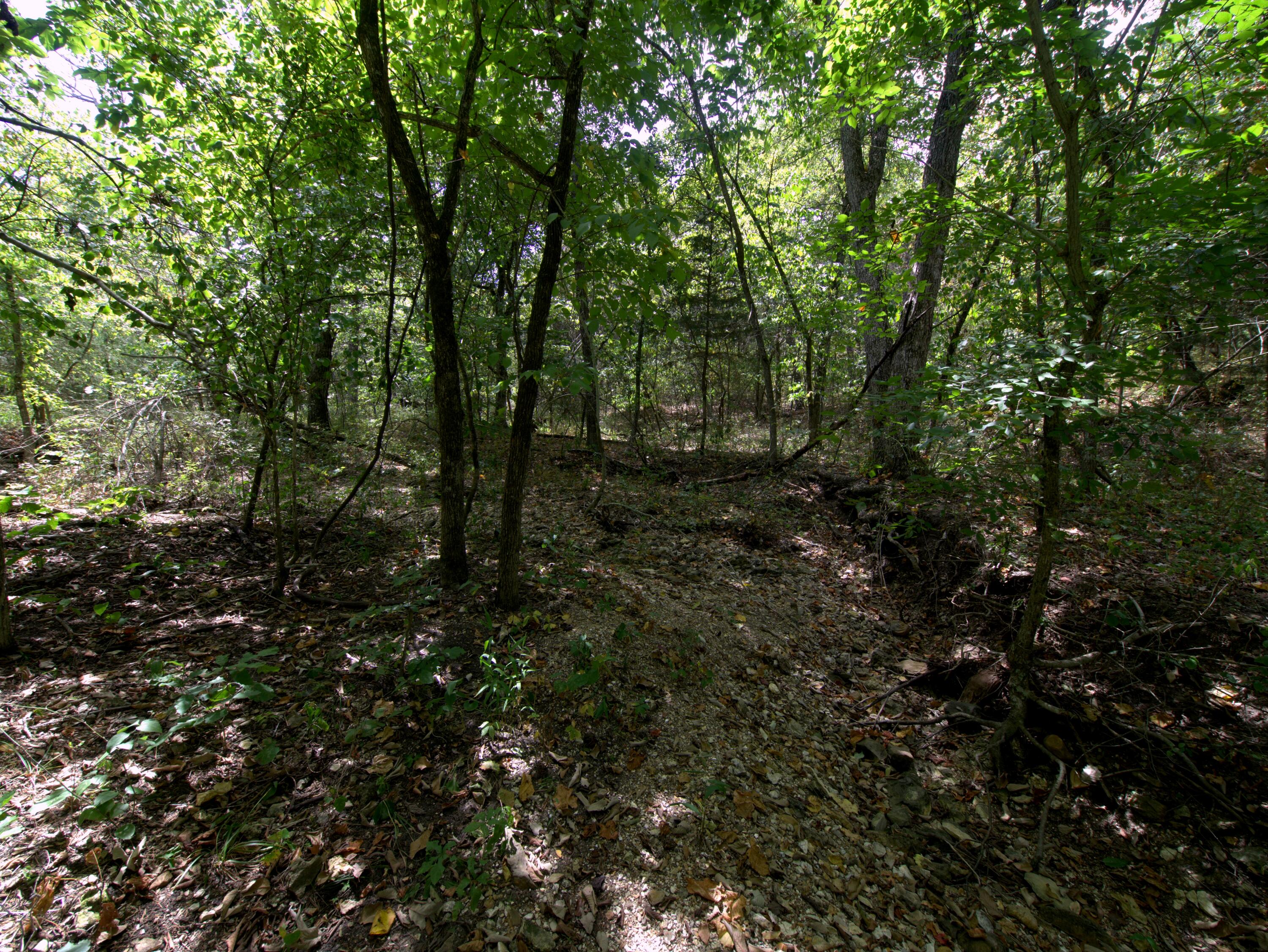 Photo 20 - Land for sale – Tract 3&4  Simpson Rd   Urbana, MO