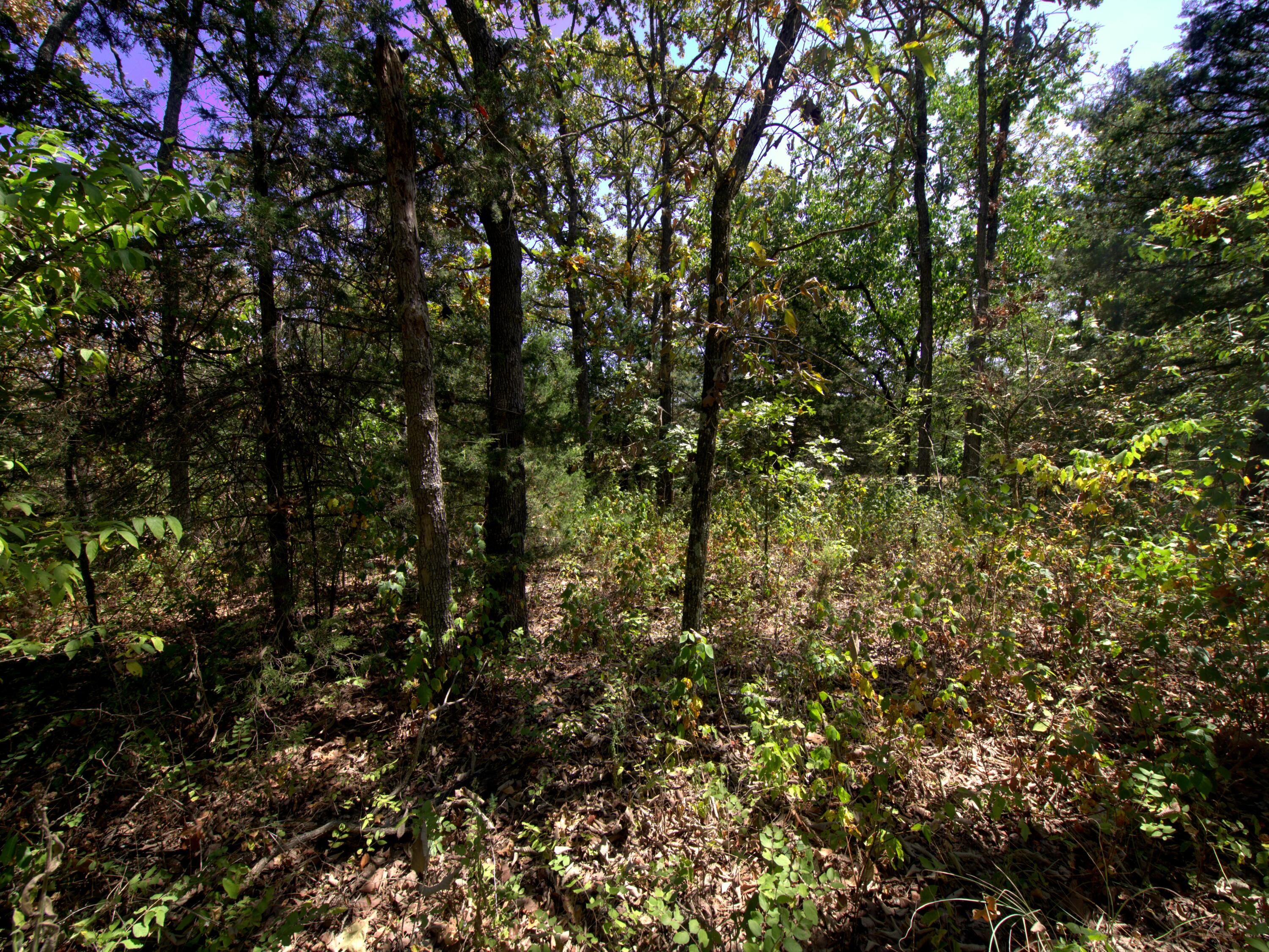 Photo 17 - Land for sale – Tract 3&4  Simpson Rd   Urbana, MO