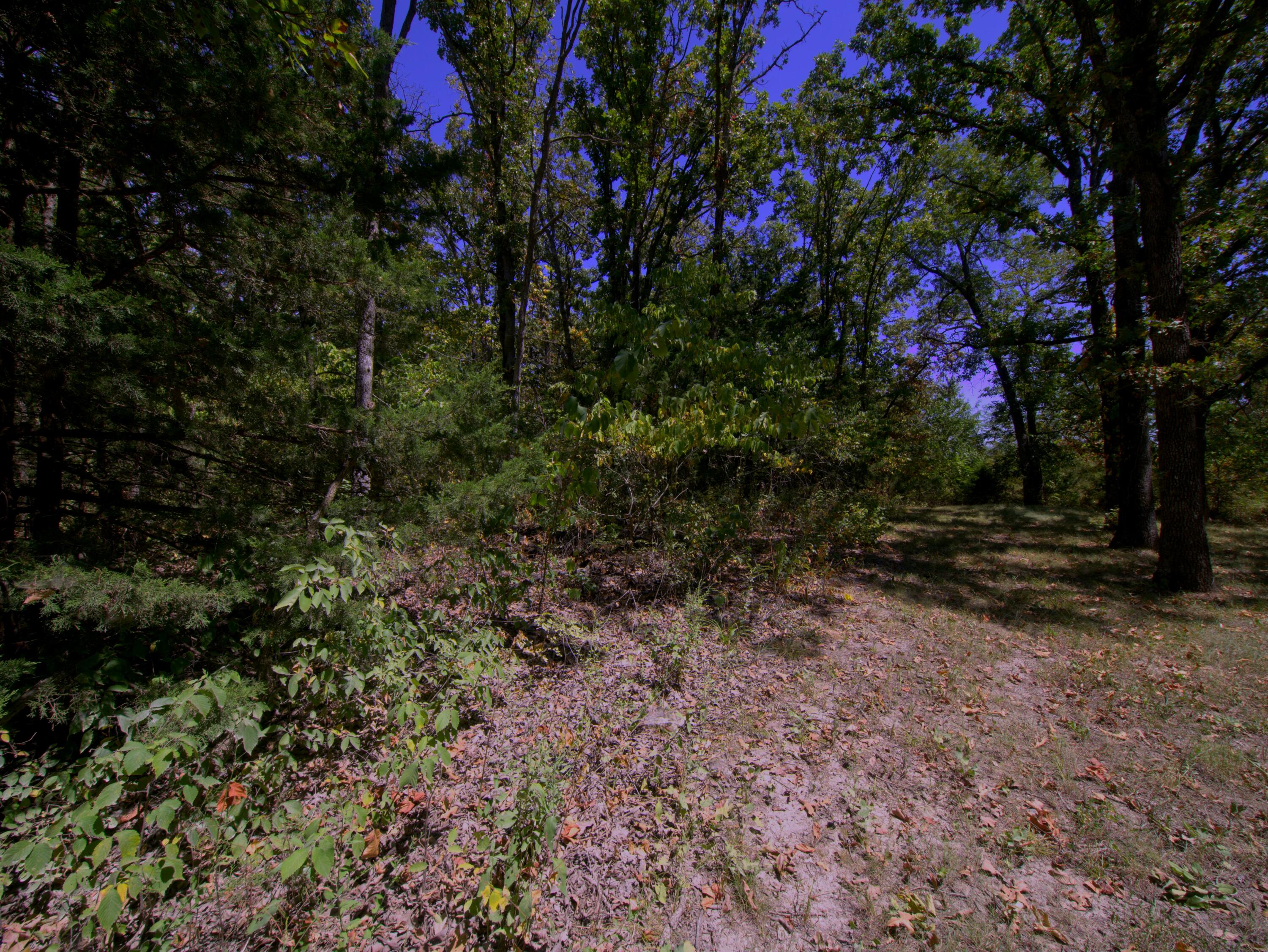 Photo 5 - Land for sale – Tract 3&4  Simpson Rd   Urbana, MO