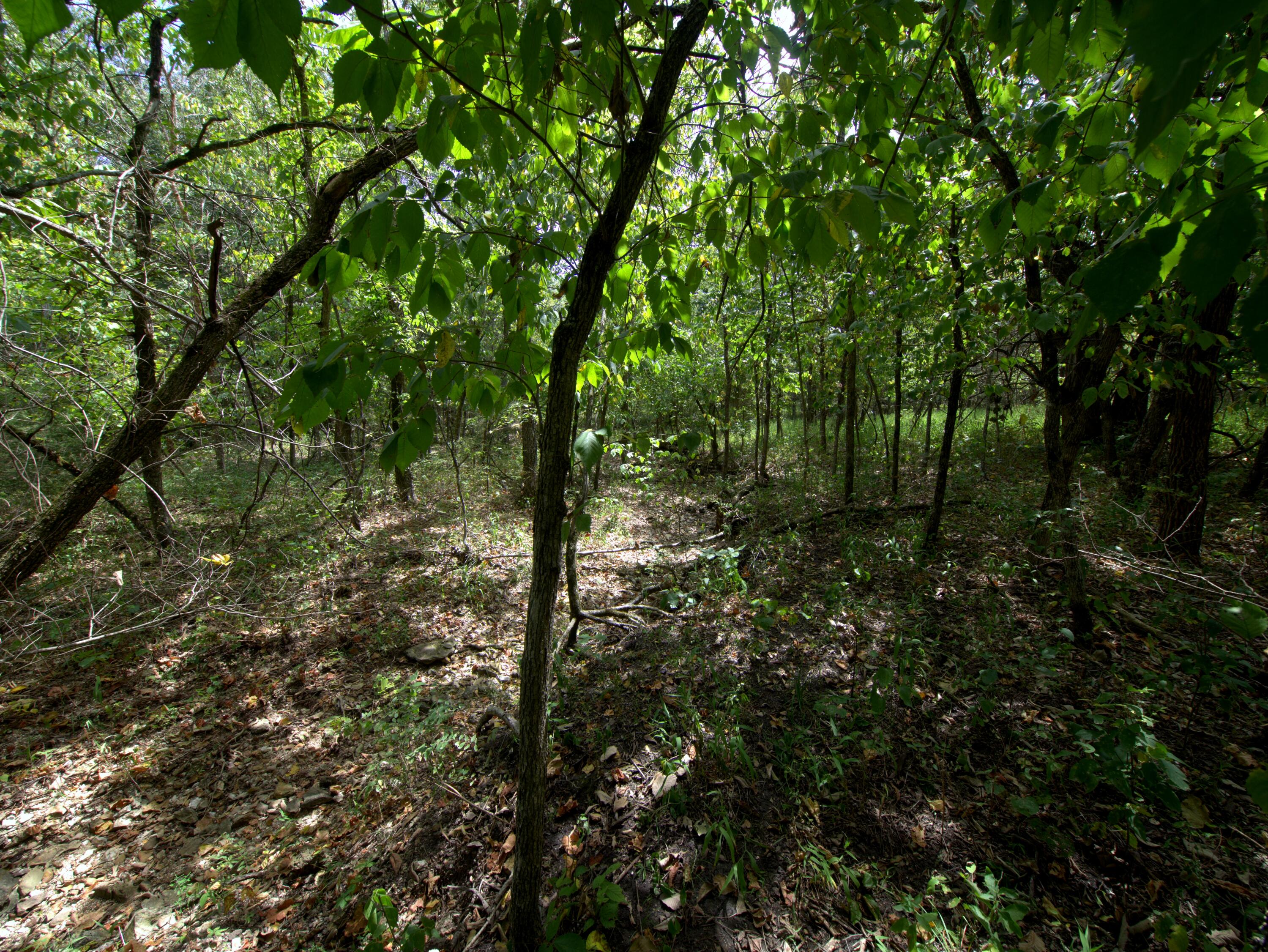 Photo 21 - Land for sale – Tract 3&4  Simpson Rd   Urbana, MO