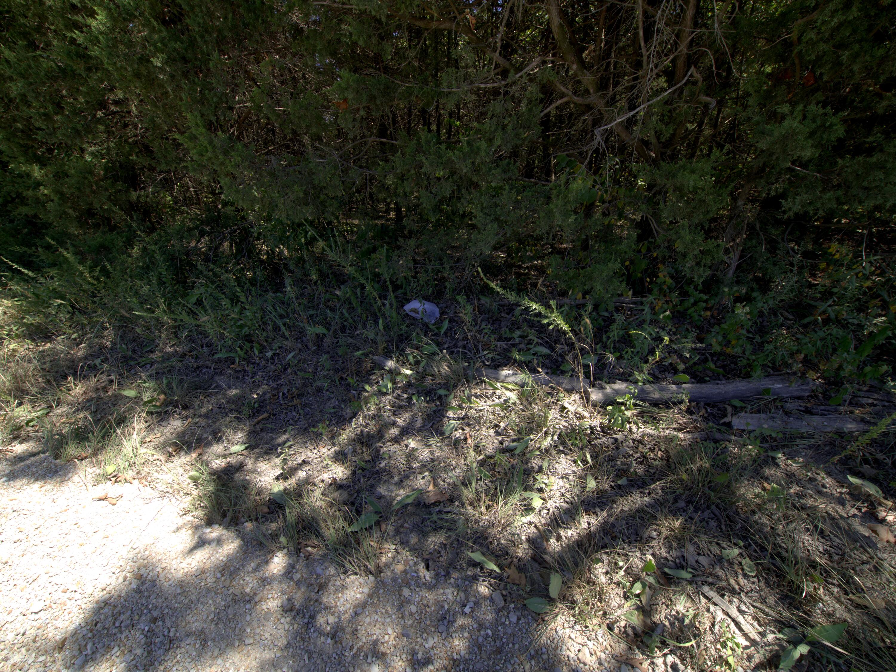 Photo 15 - Land for sale – Tract 3&4  Simpson Rd   Urbana, MO