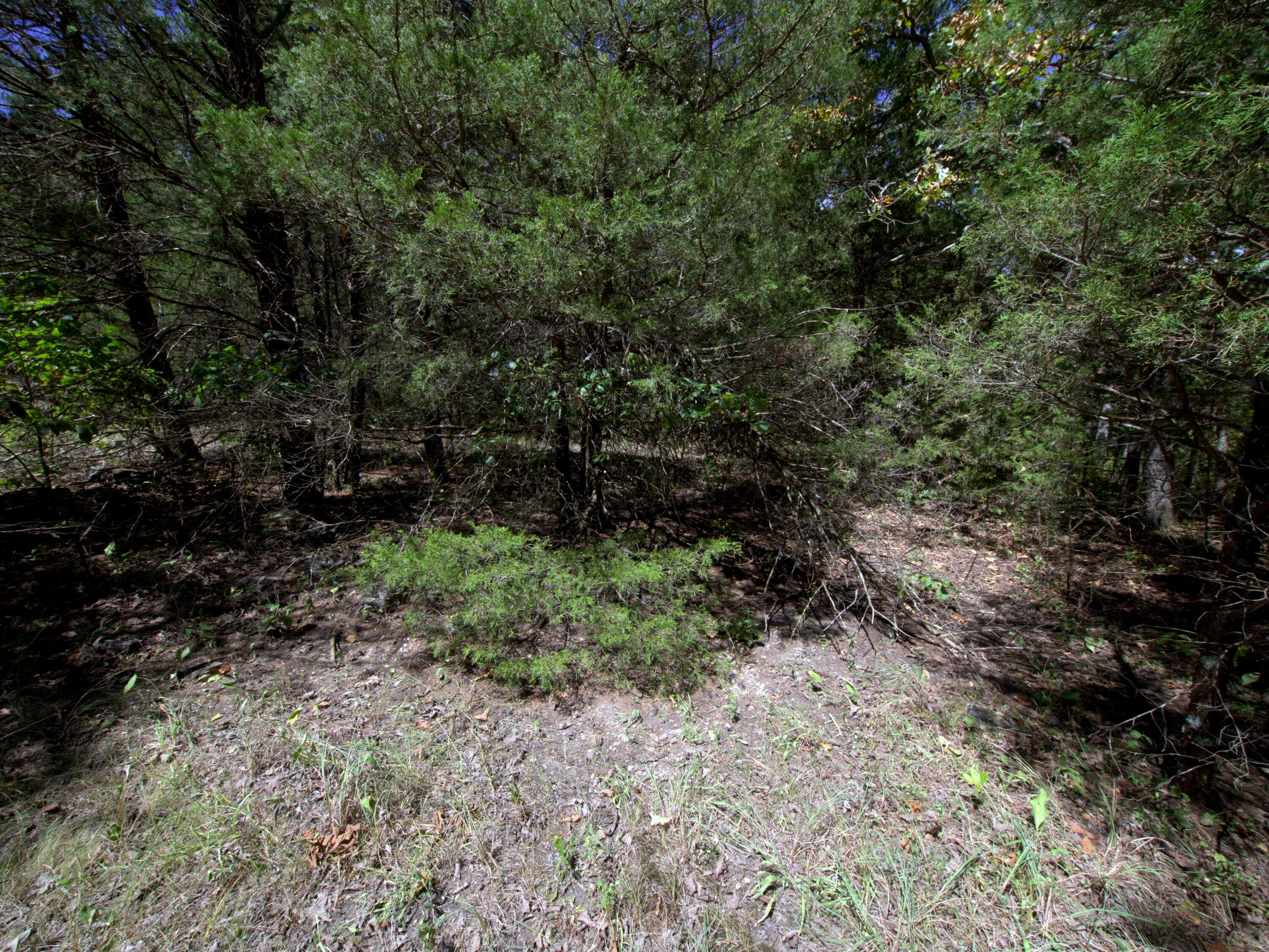 Photo 8 - Land for sale – Tract 3&4  Simpson Rd   Urbana, MO