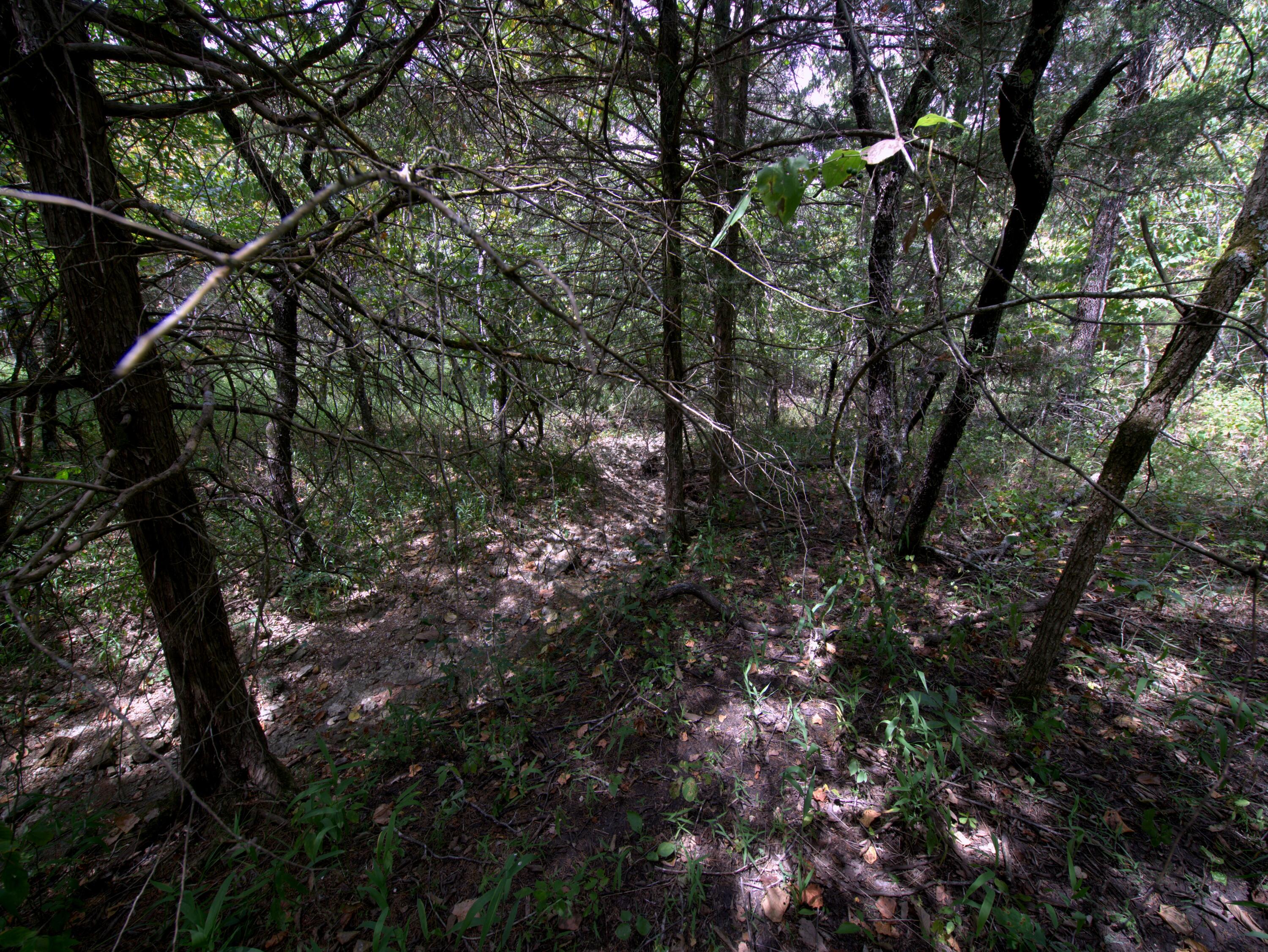 Photo 19 - Land for sale – Tract 3&4  Simpson Rd   Urbana, MO