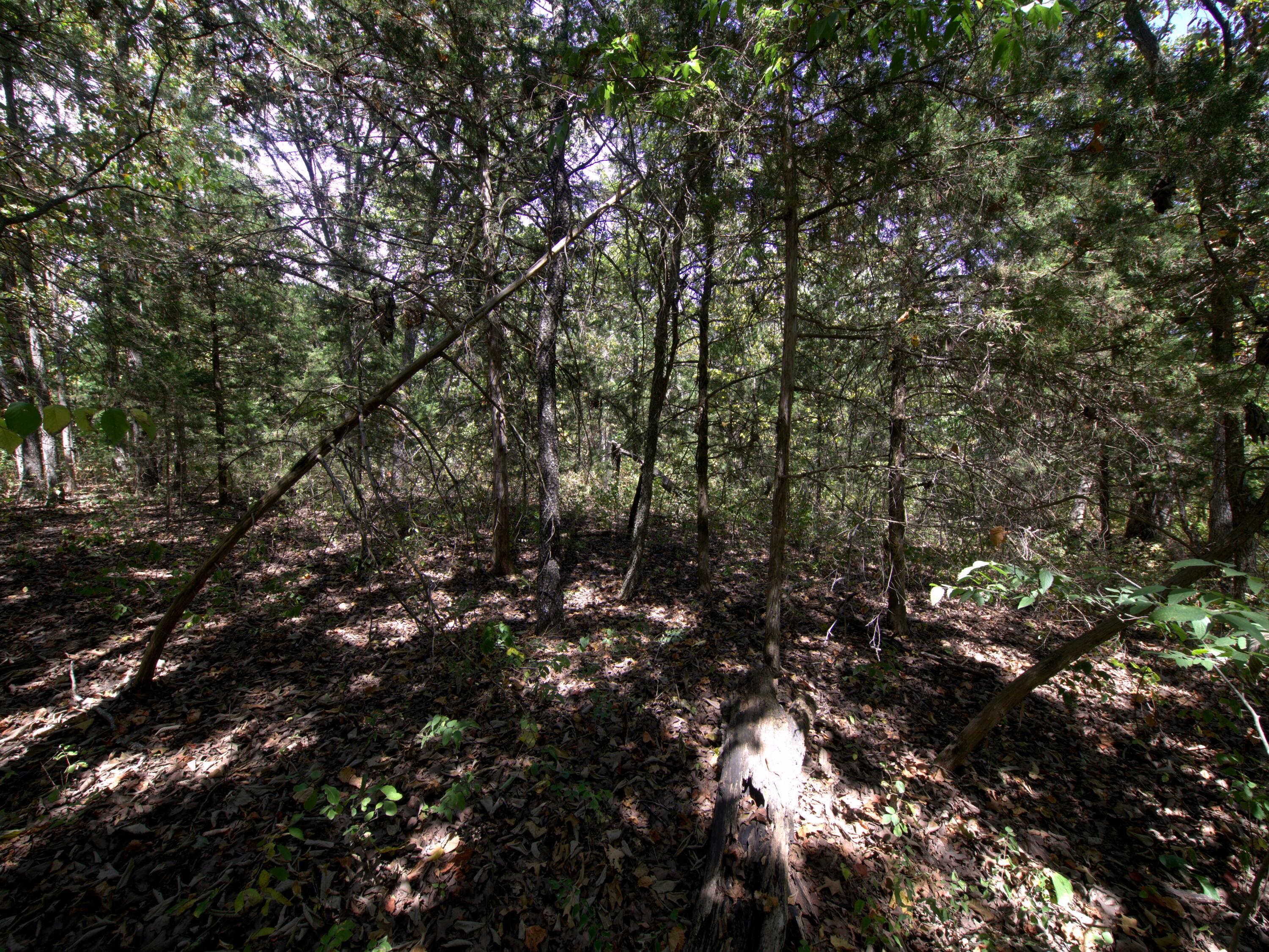 Photo 33 - Land for sale – Tract 3&4  Simpson Rd   Urbana, MO