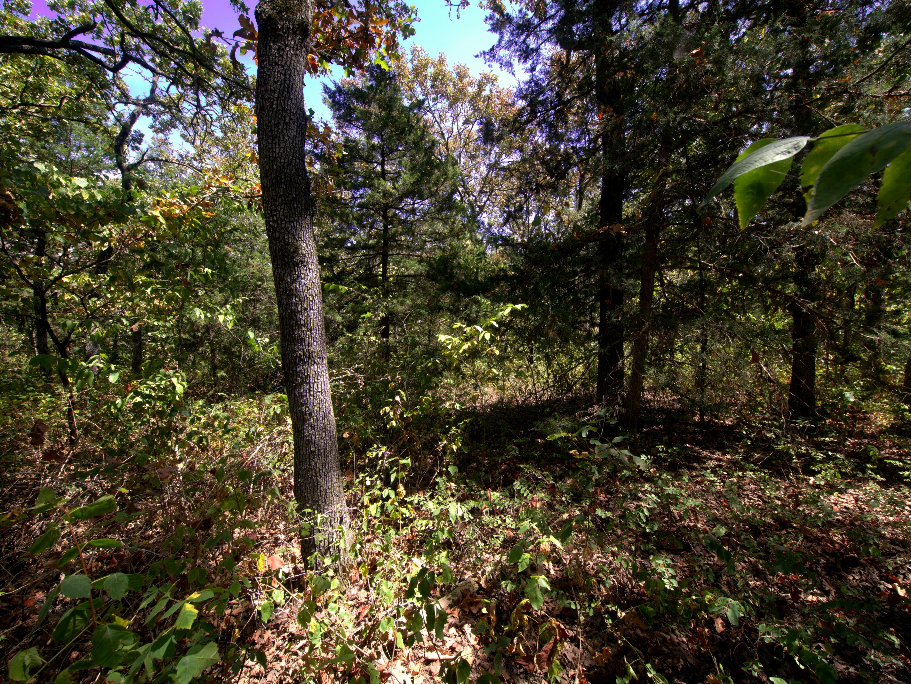 Photo 34 - Land for sale – Tract 3&4  Simpson Rd   Urbana, MO
